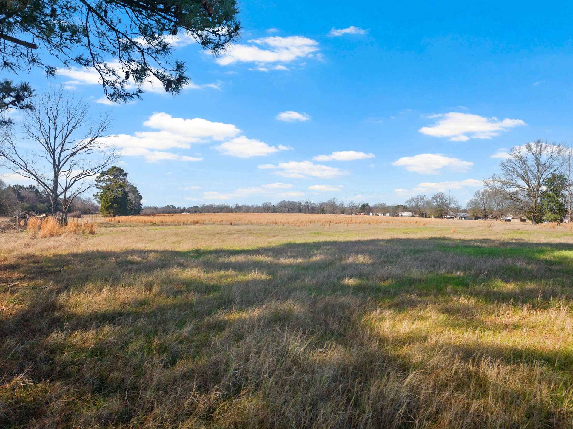 TBD FM 1402 and Nevills Rd