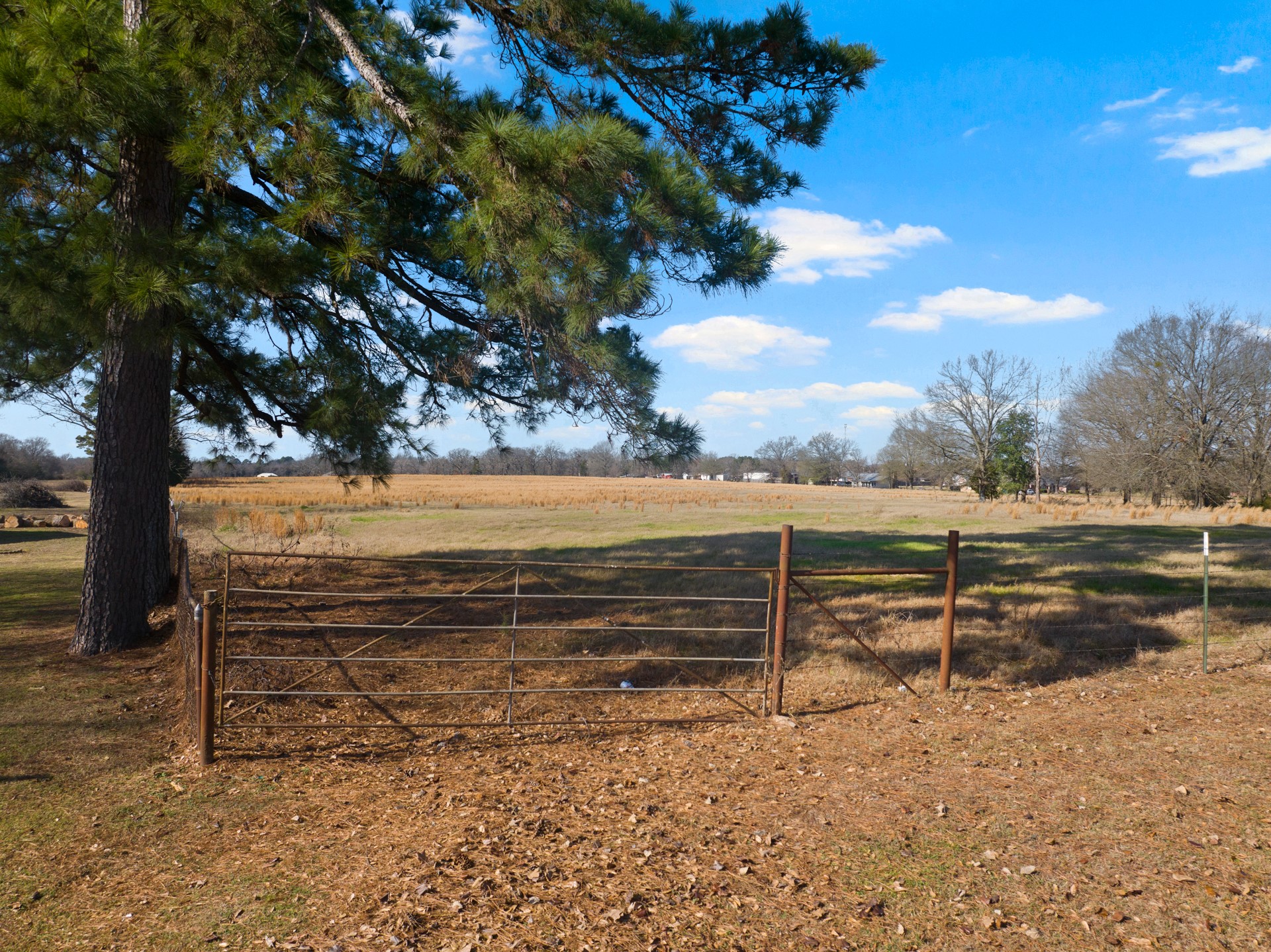 TBD FM 1402 and Nevills Rd