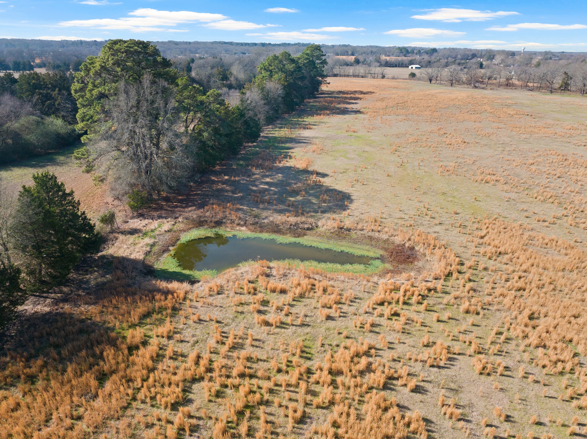 TBD FM 1402 and Nevills Rd