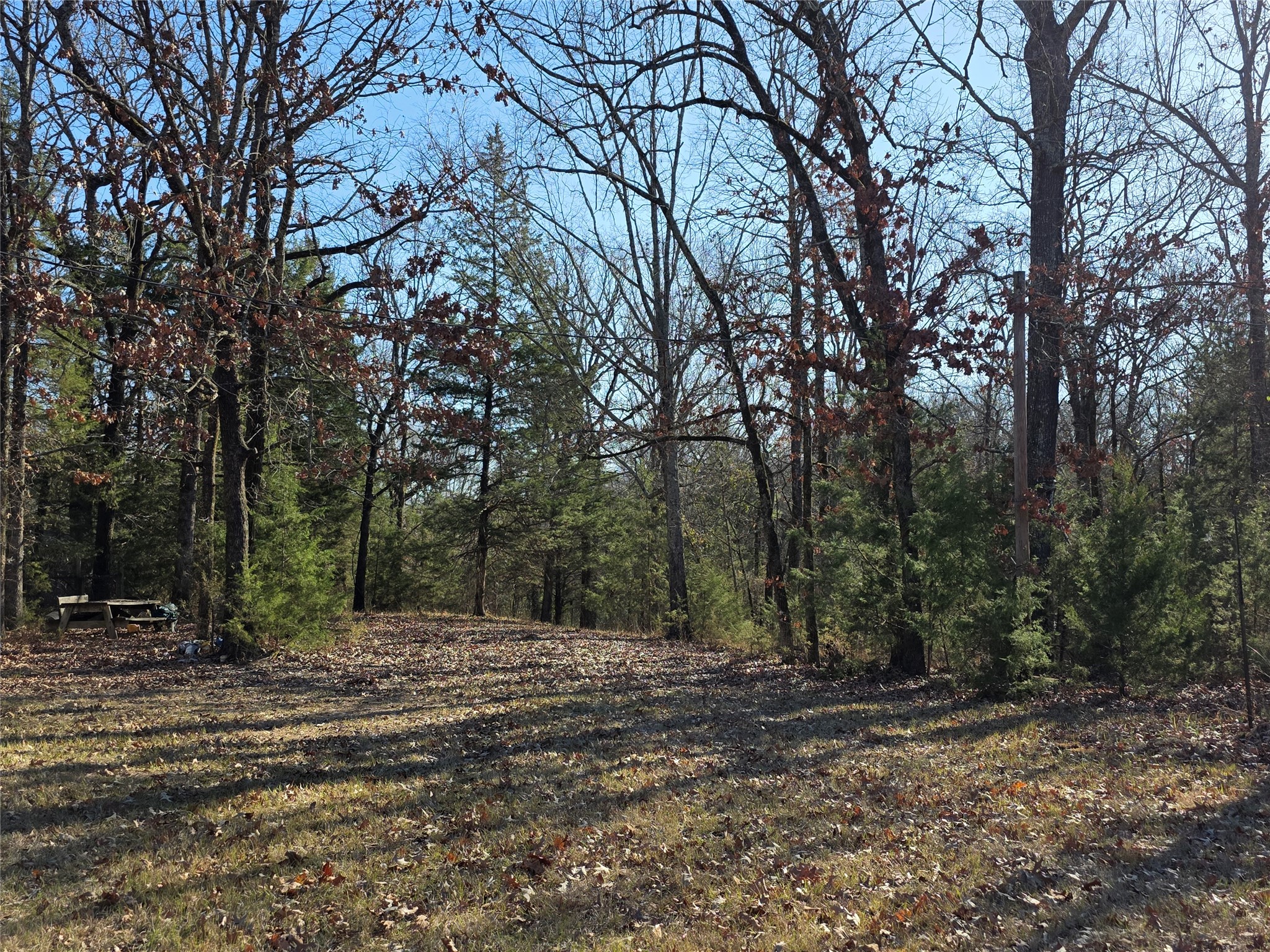 1191 County Road 3333