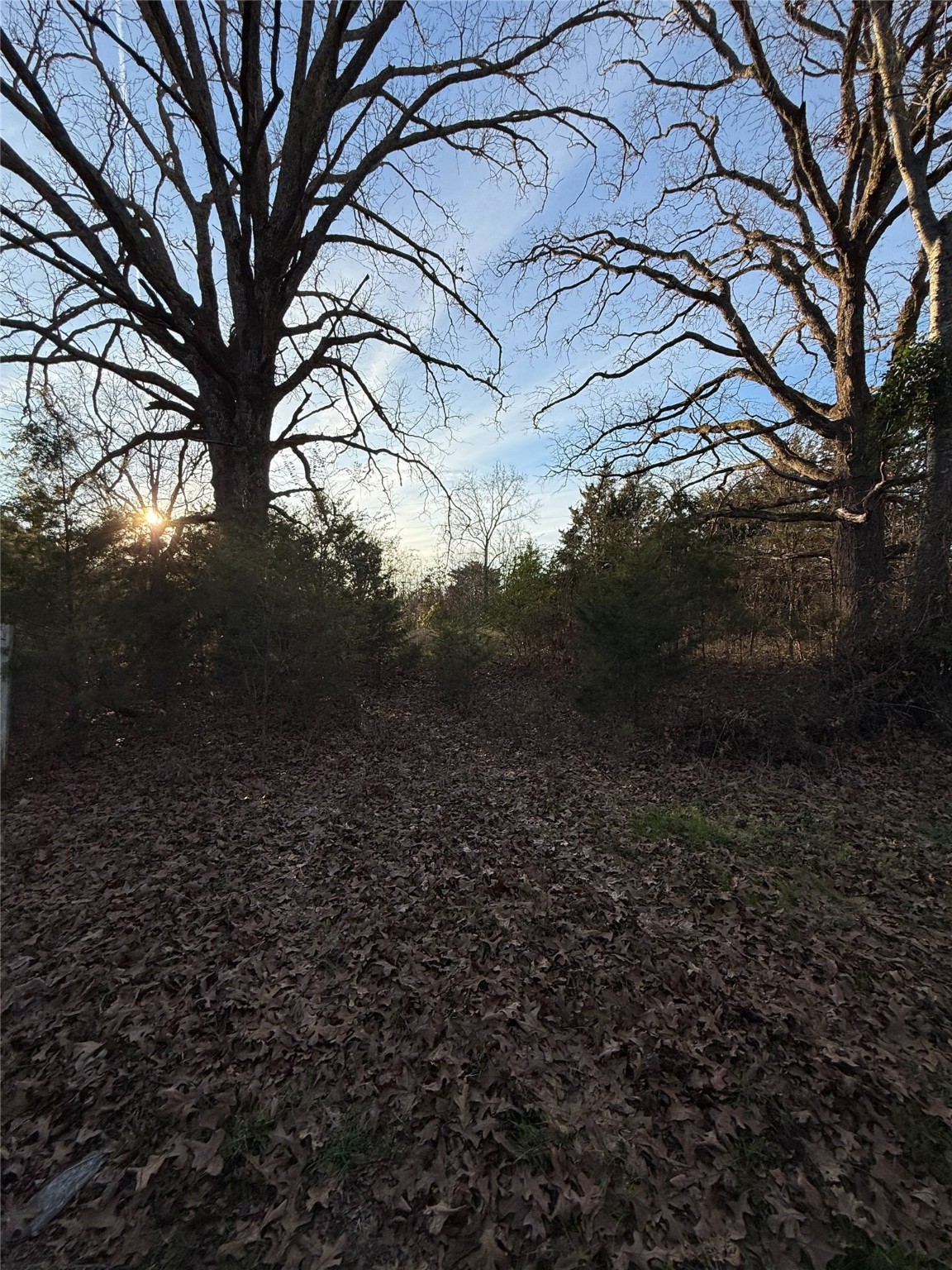 TBD County Road 4950