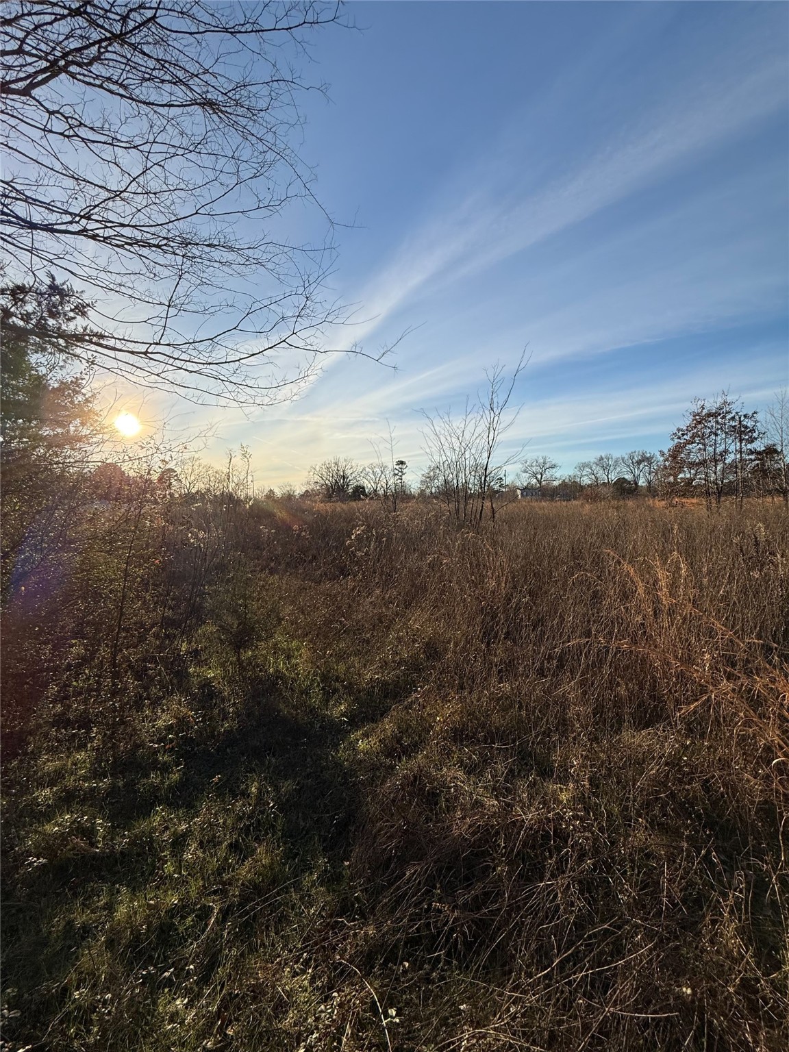 TBD County Road 4950