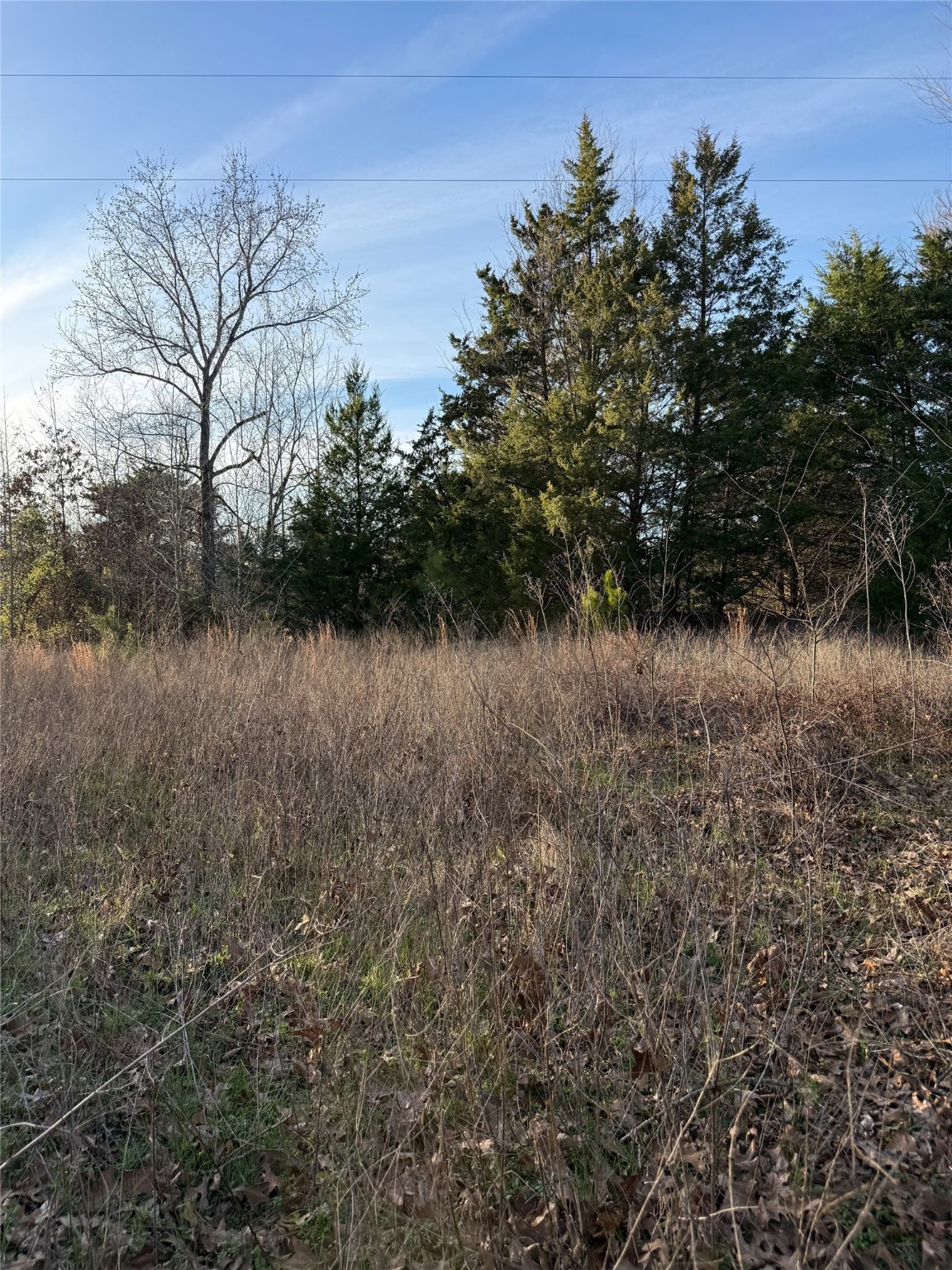 TBD County Road 4950