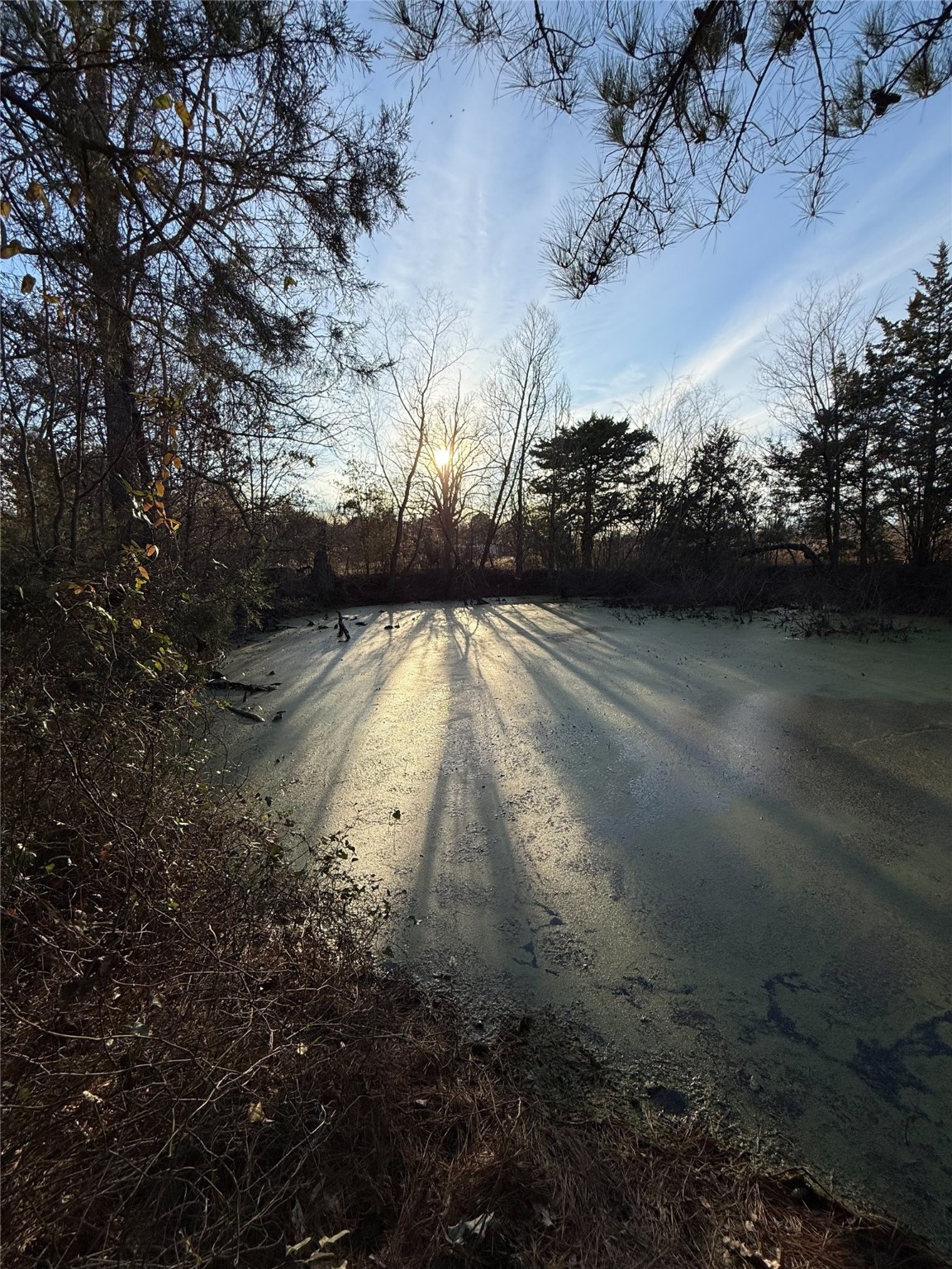 TBD County Road 4950