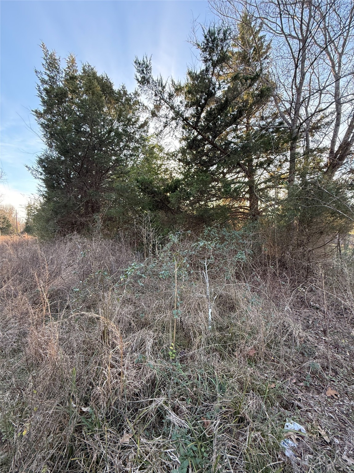 TBD County Road 4950