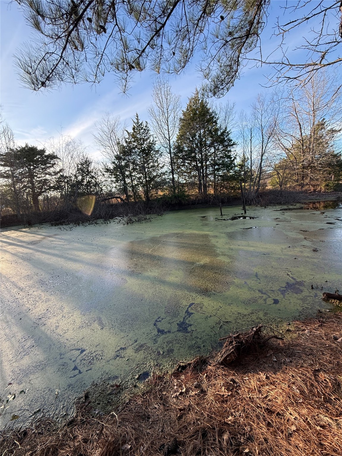 TBD County Road 4950