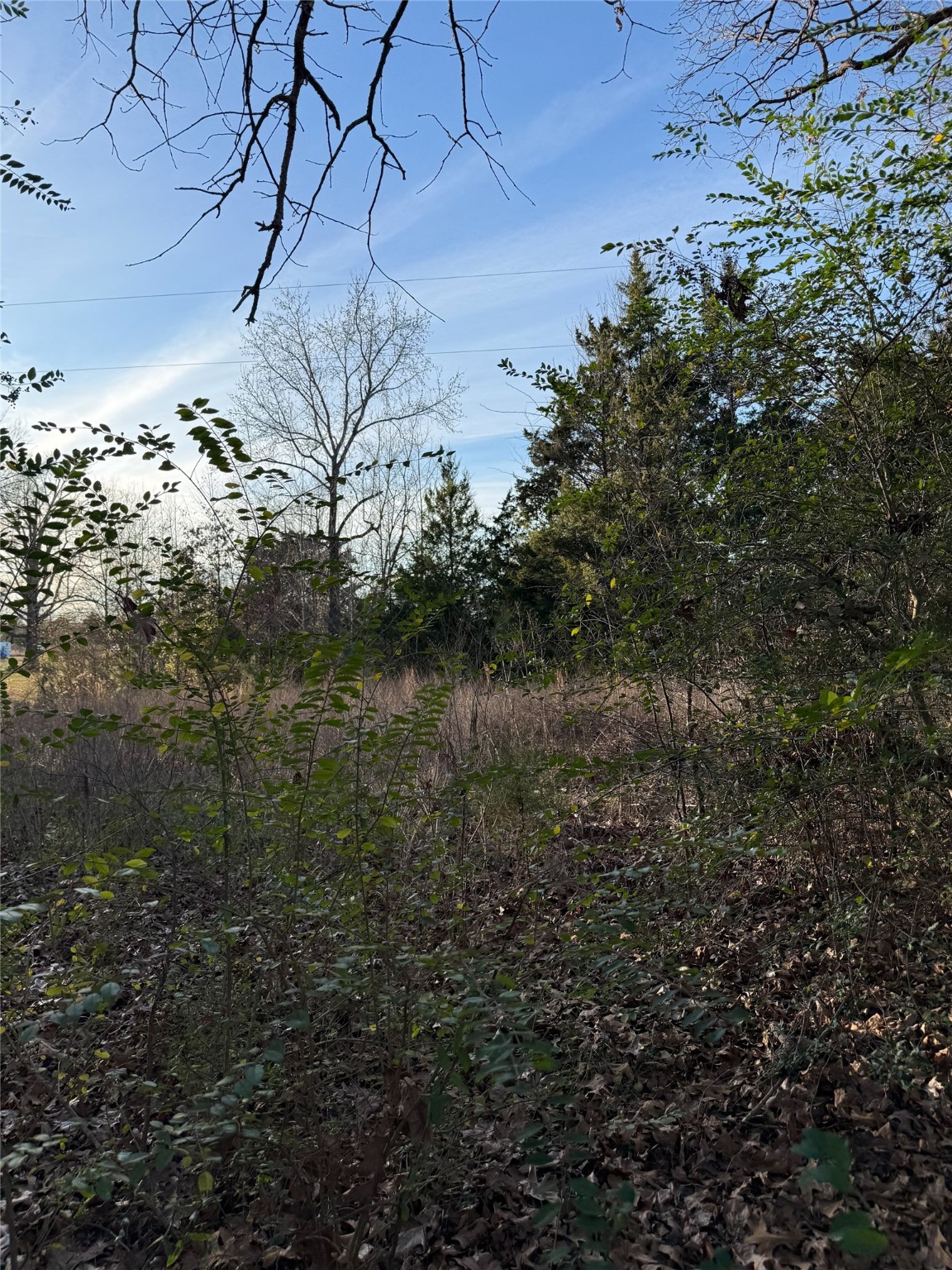 TBD County Road 4950