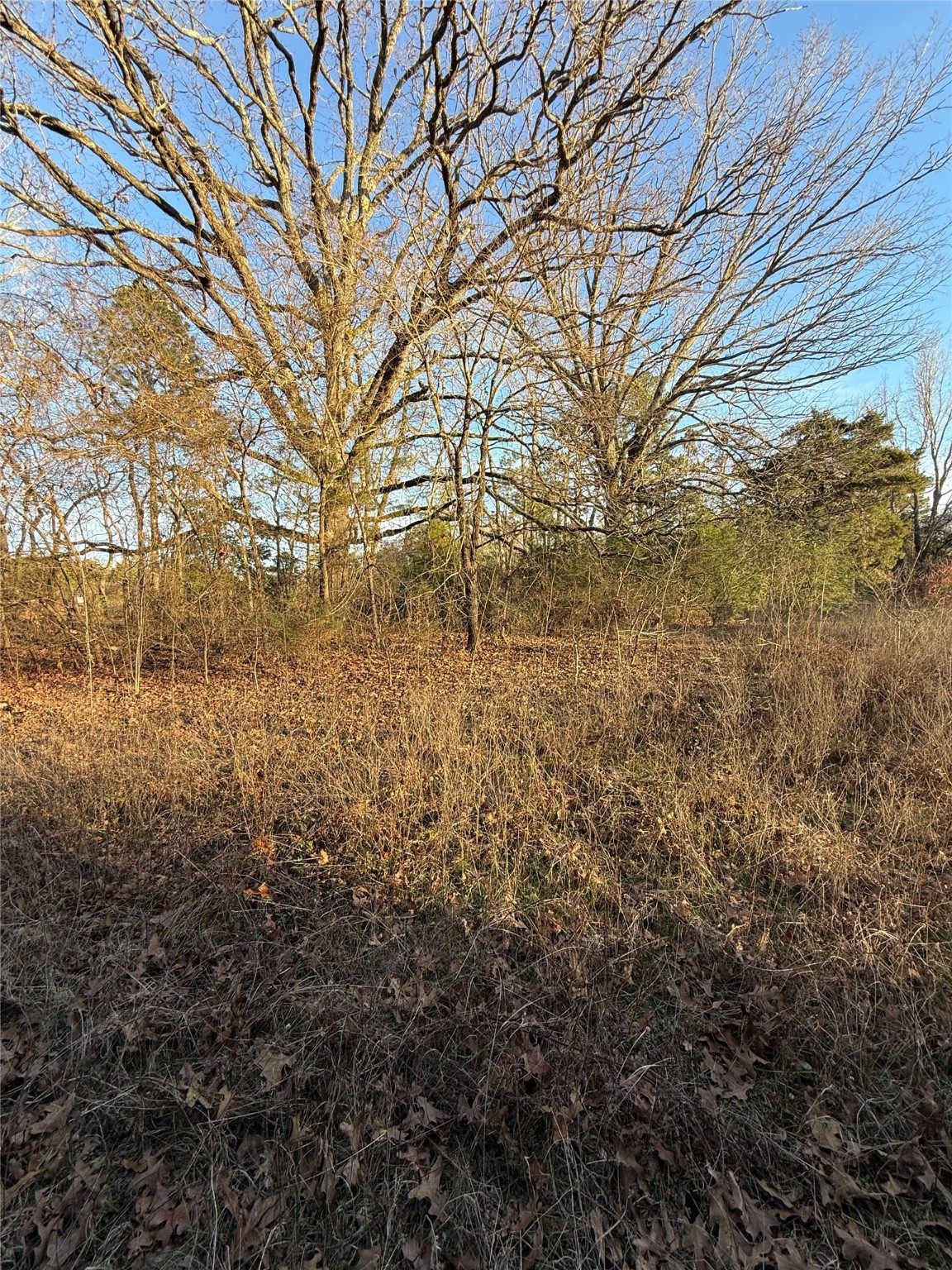 TBD County Road 4950