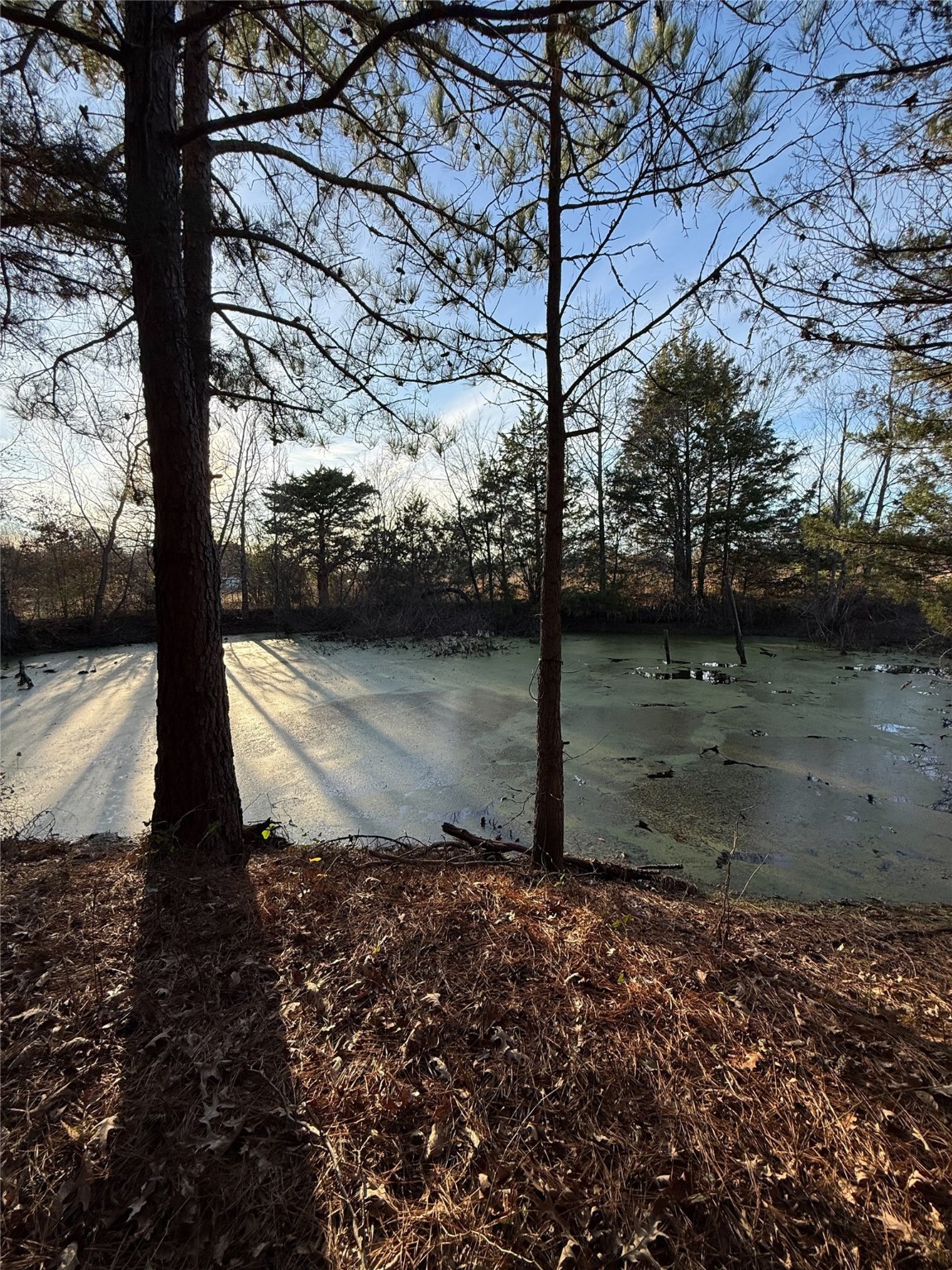 TBD County Road 4950