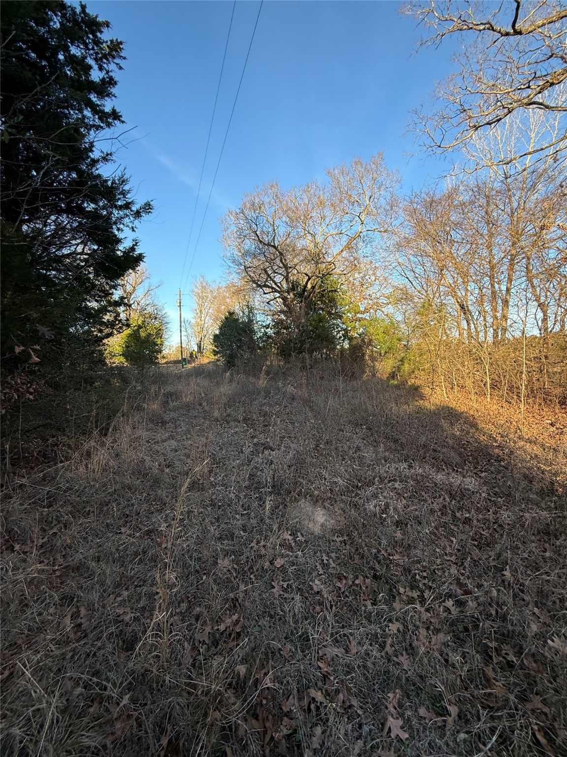 TBD County Road 4950