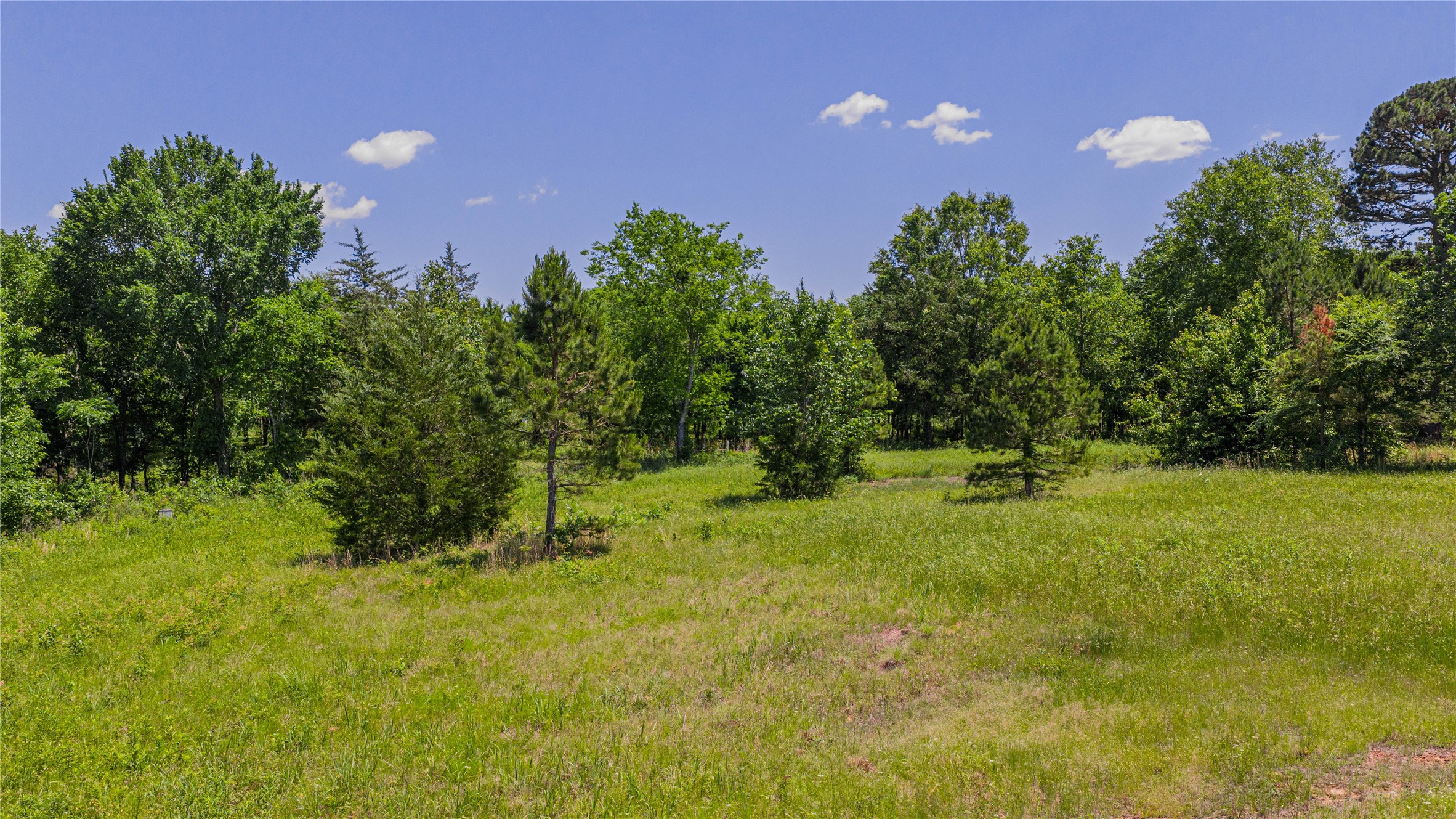 TBD County Road 1450