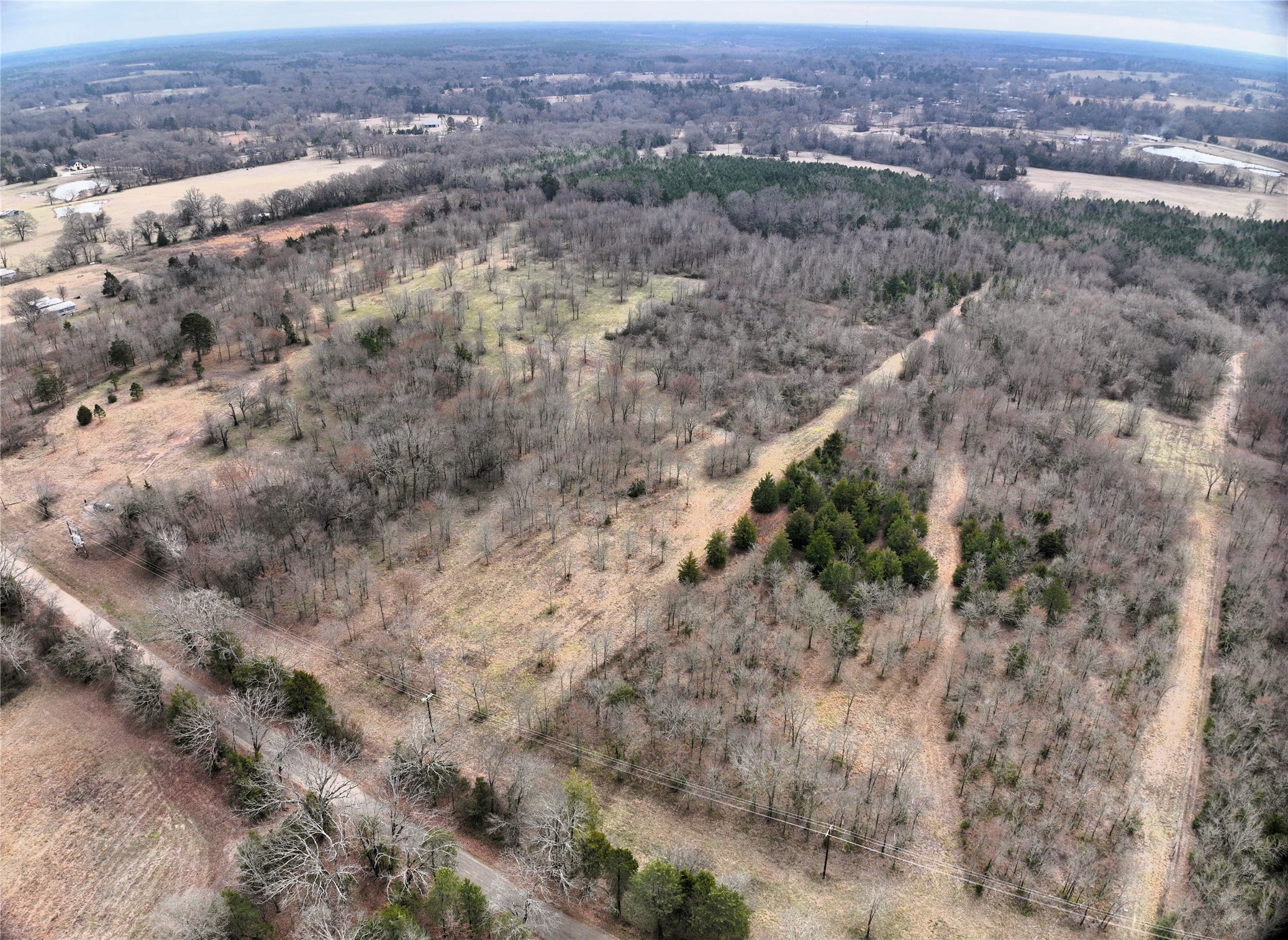 TBD County Road 1450