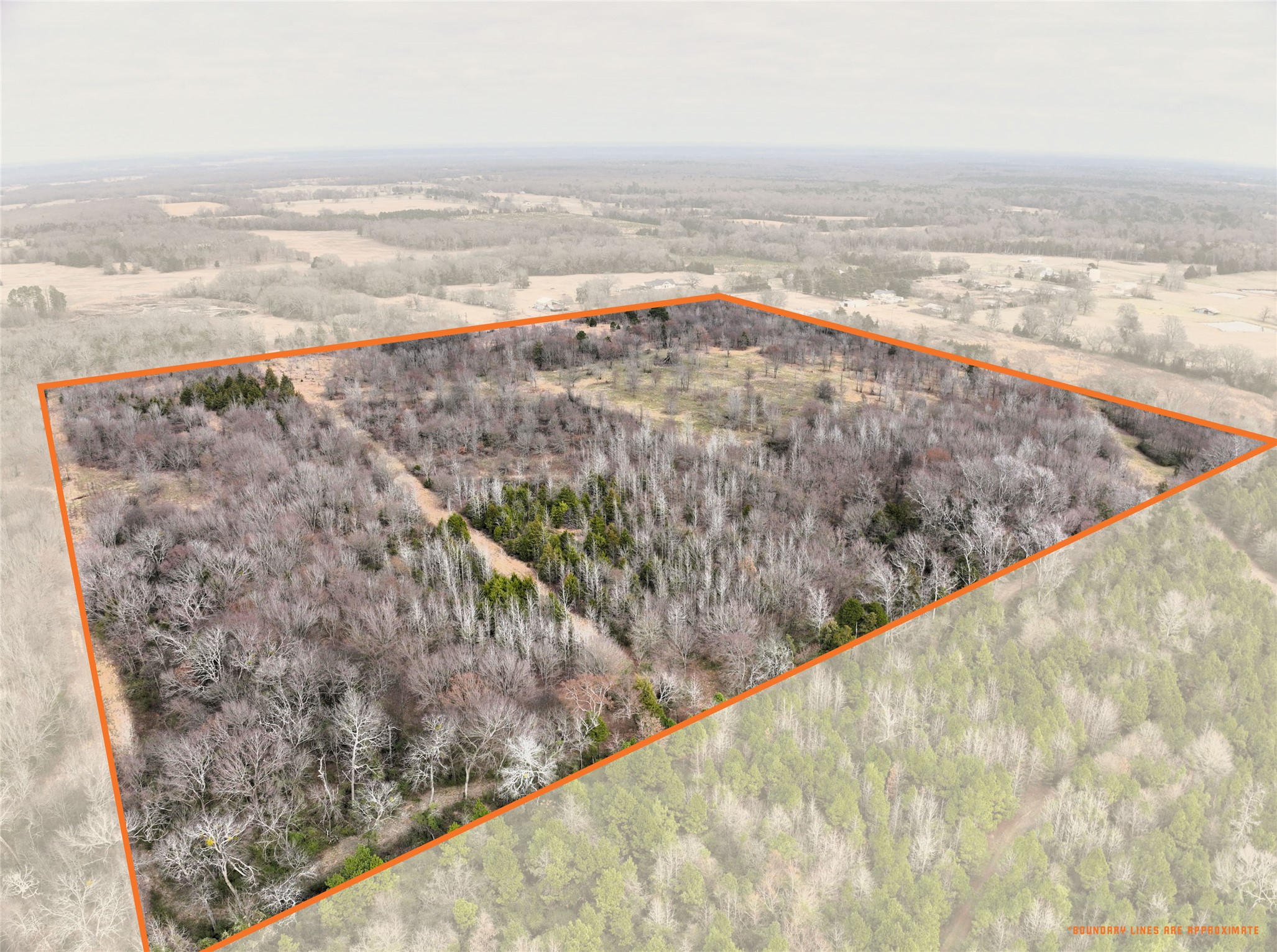 TBD County Road 1450