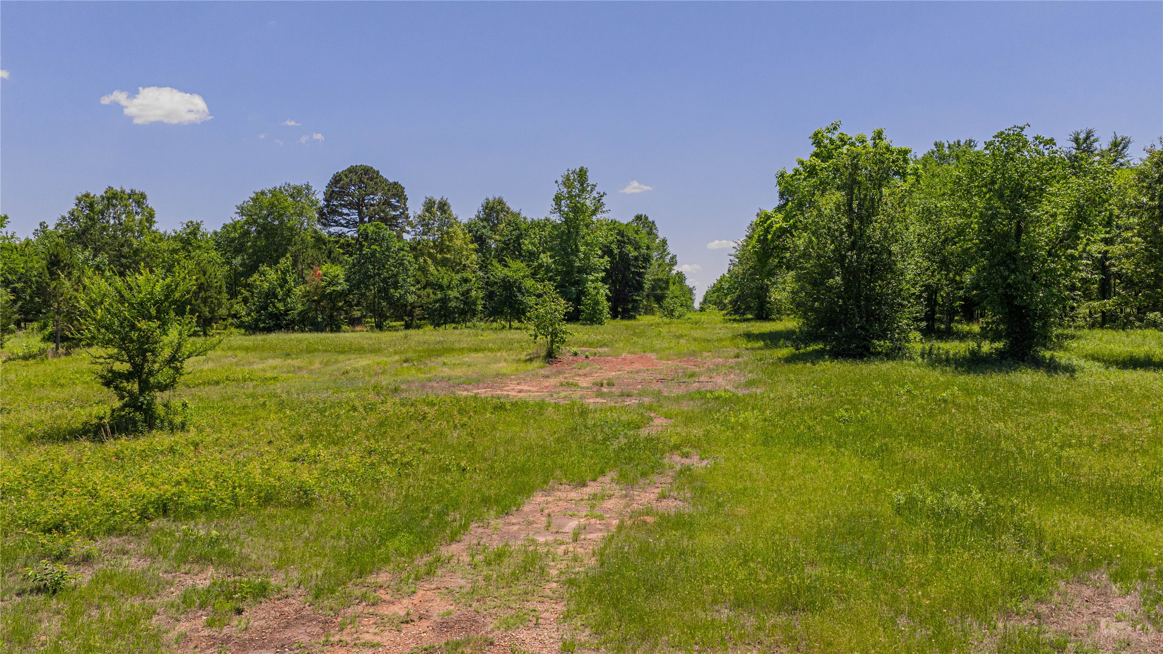 TBD County Road 1450