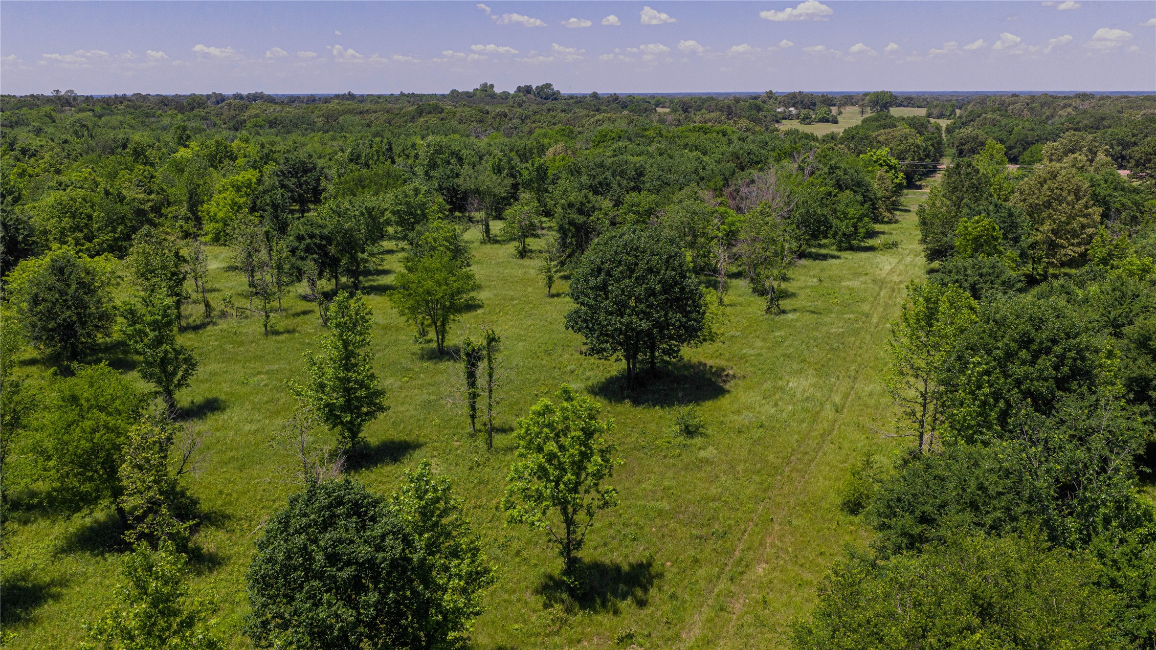 TBD County Road 1450