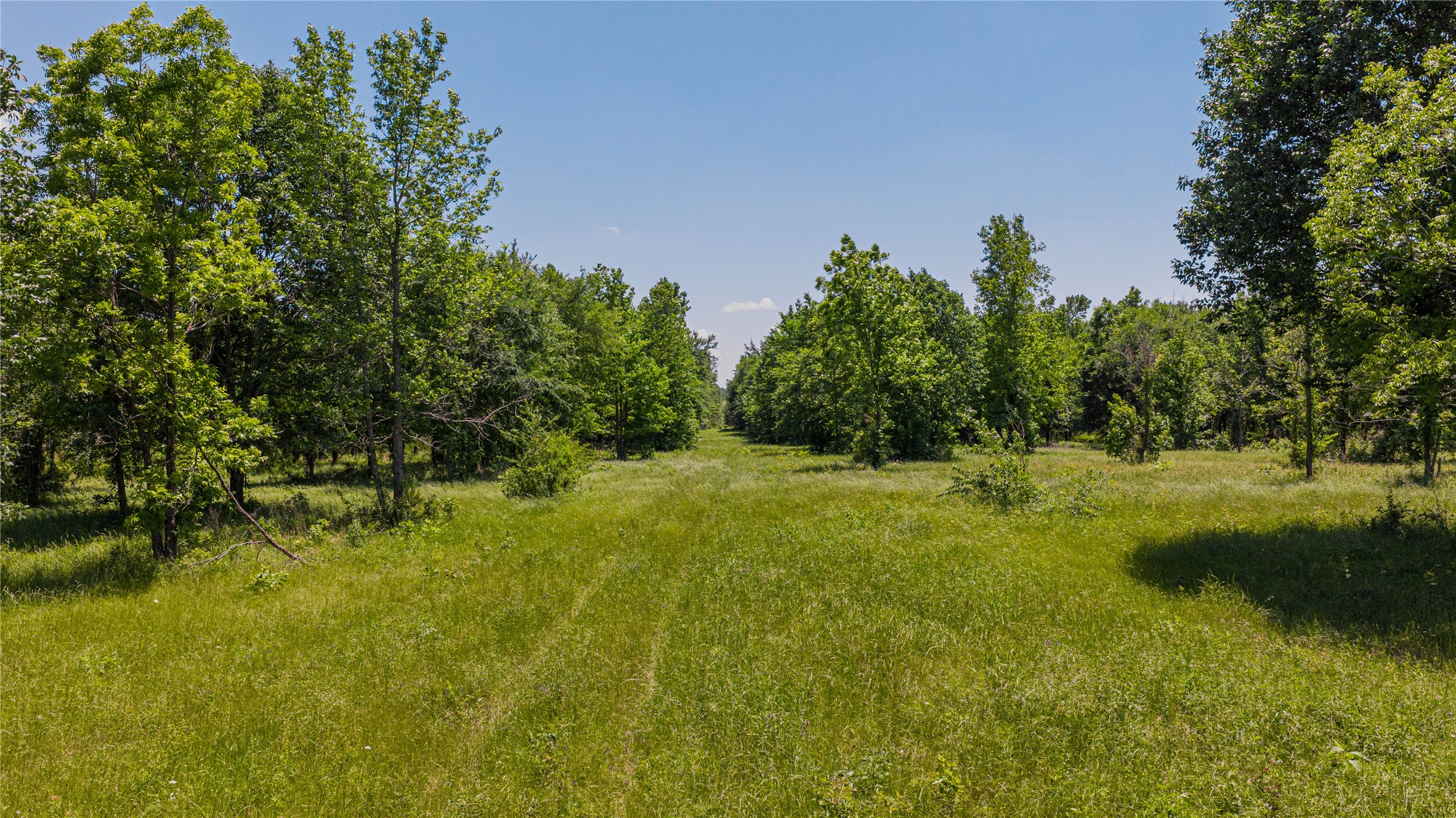 TBD County Road 1450