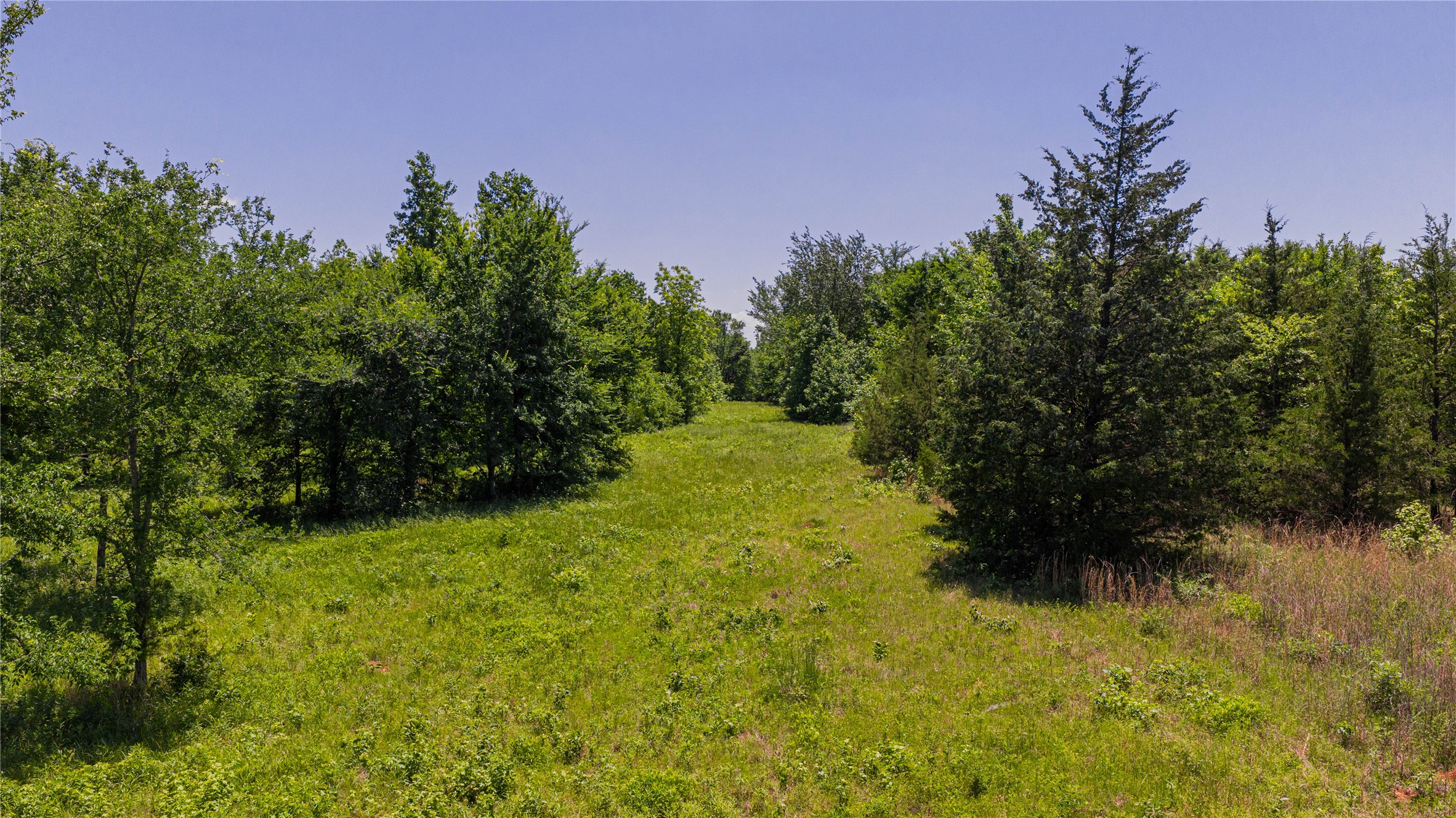 TBD County Road 1450