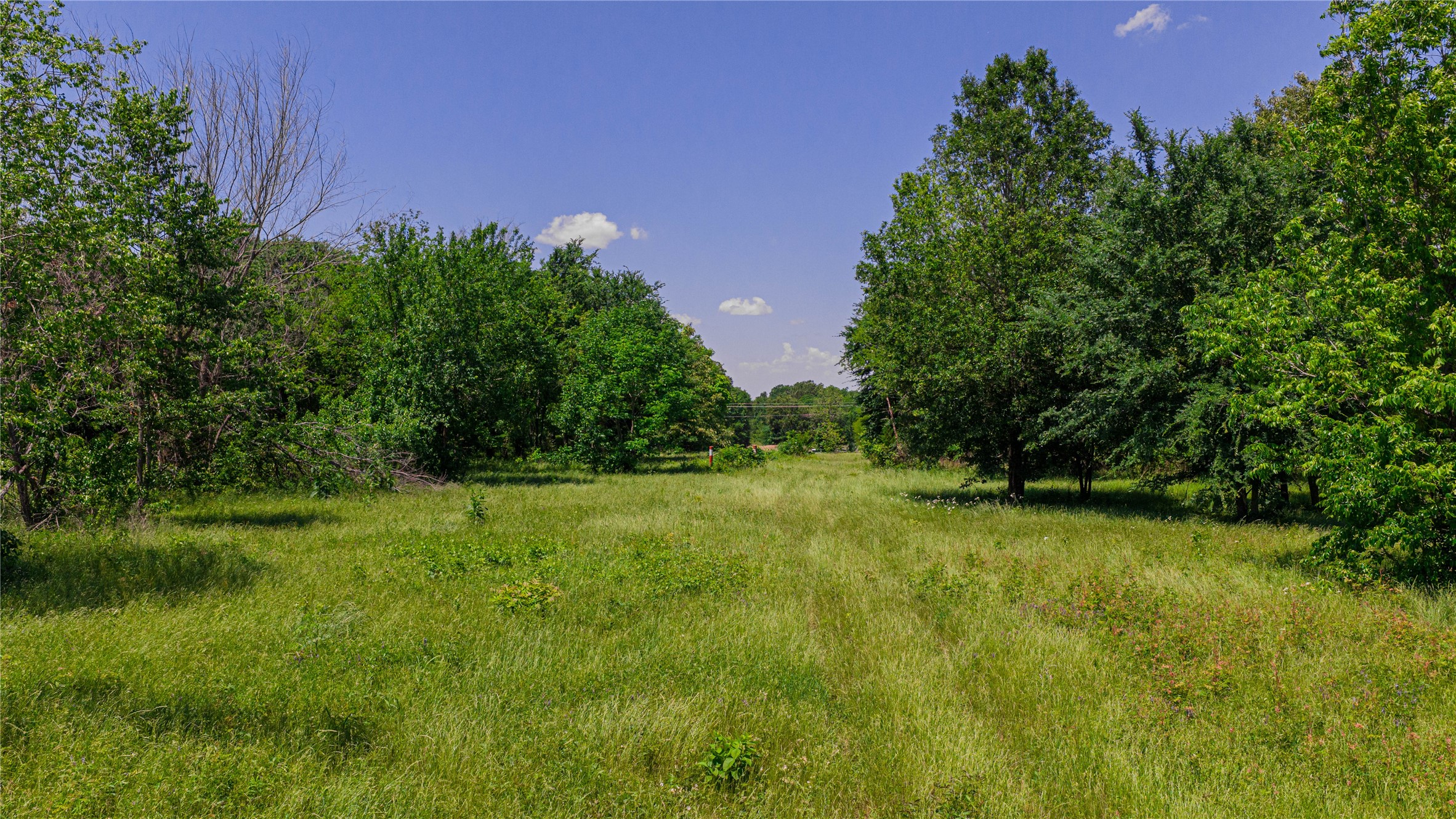 TBD County Road 1450