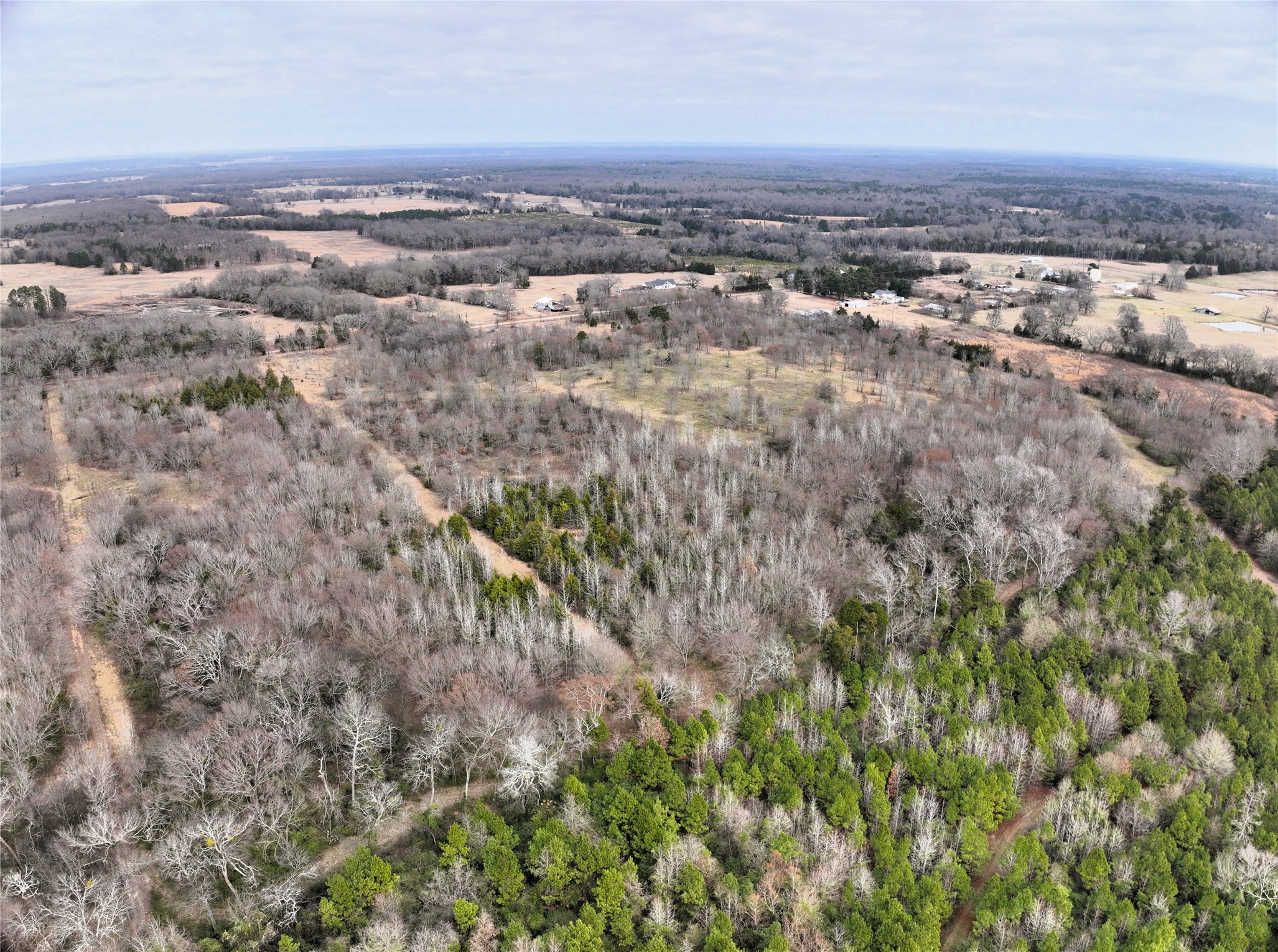 TBD County Road 1450