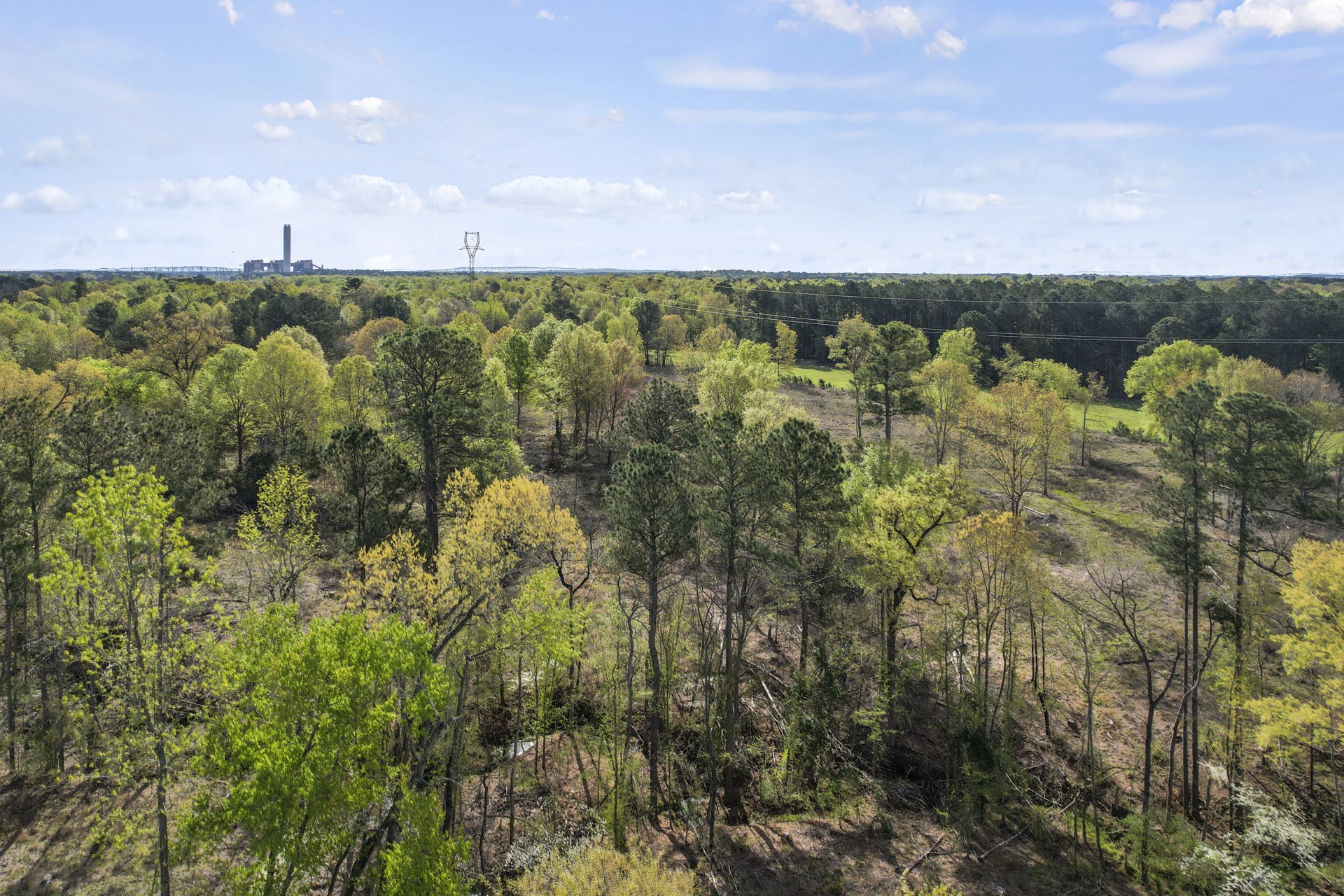 000 County Road 4663