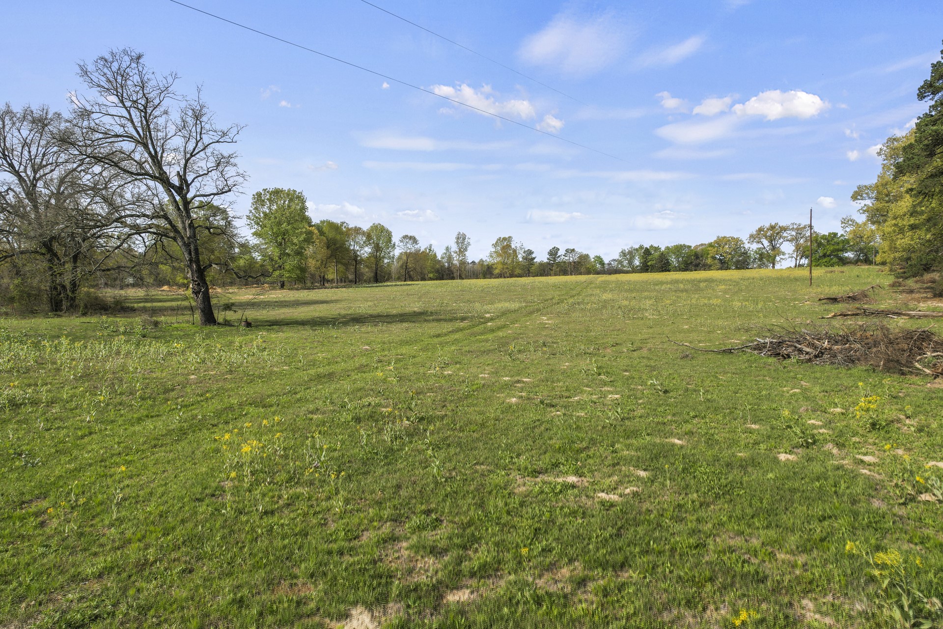 000 County Road 4663