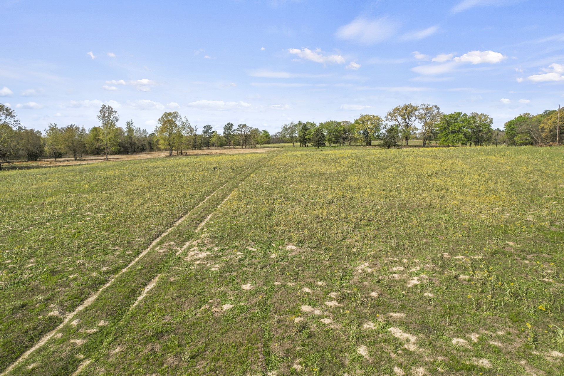 000 County Road 4663