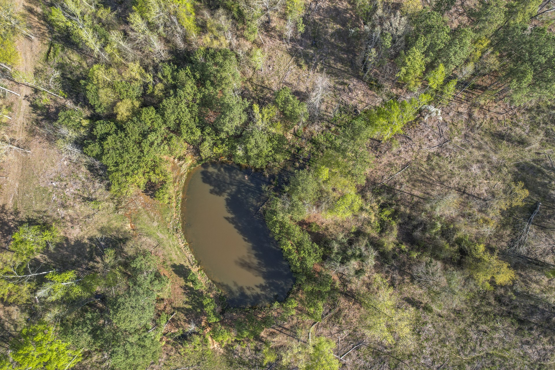 000 County Road 4663