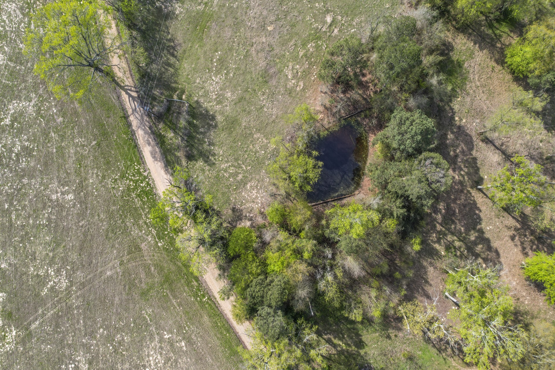 000 County Road 4663