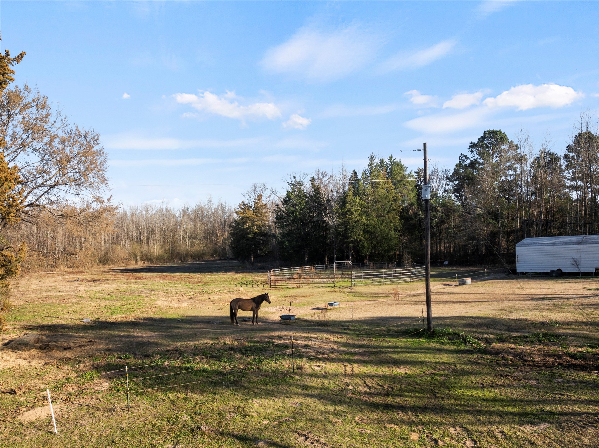 290 County Road 2220