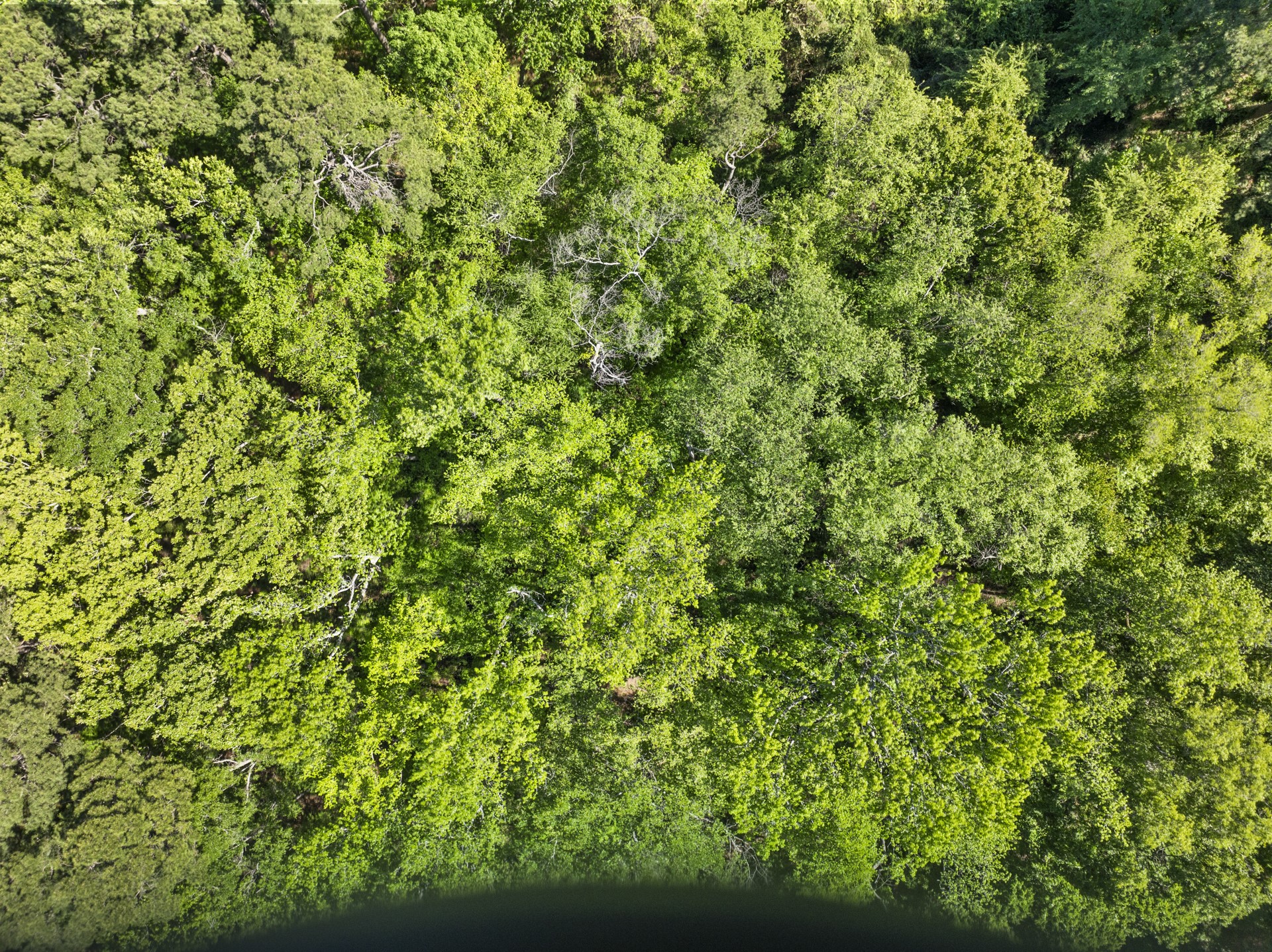 Lot 18 Country Club Road