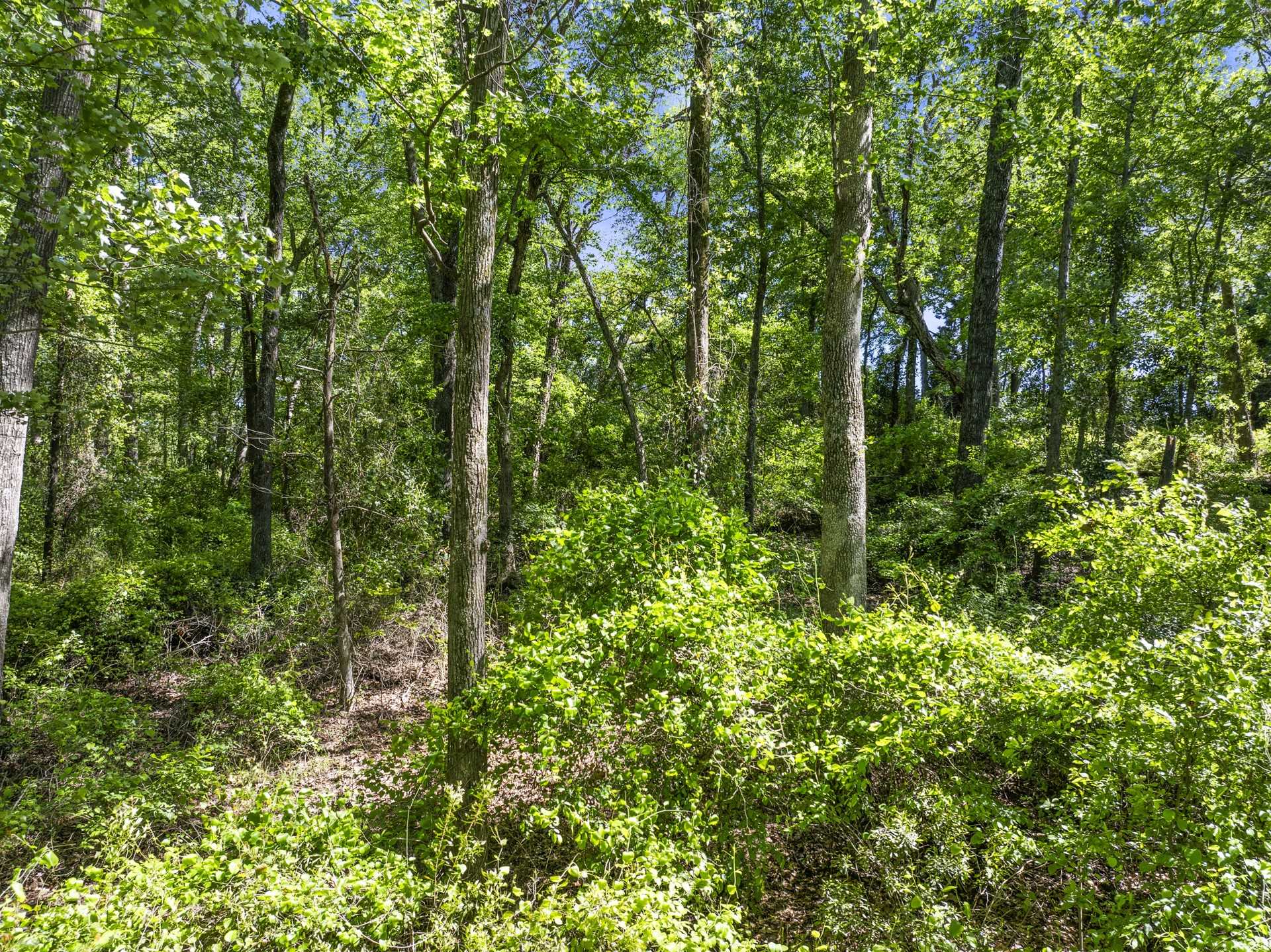 Lot 18 Country Club Road