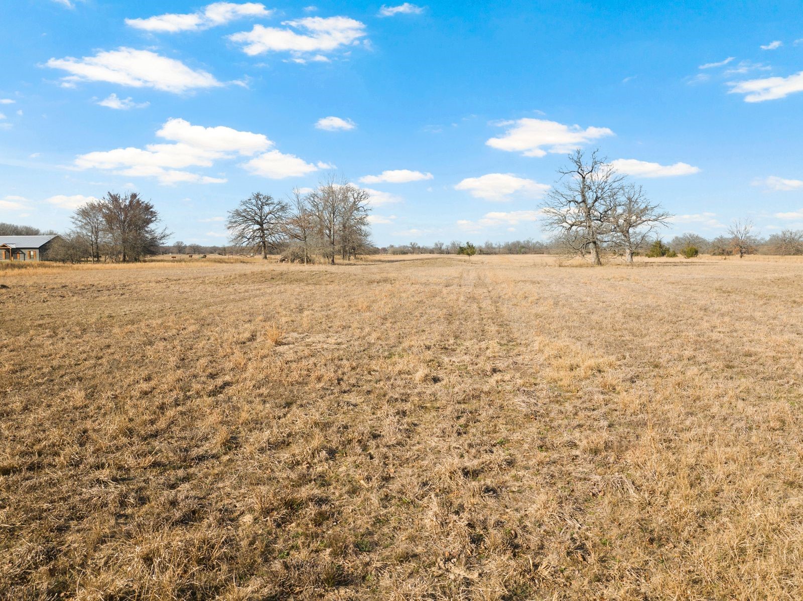 TBS County Road 2220