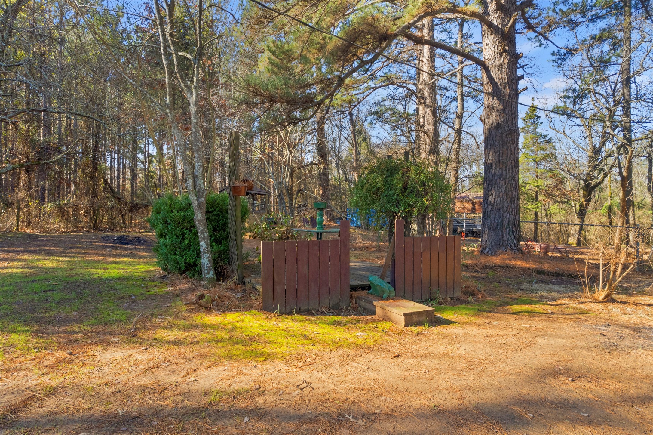 12869 US Highway 259 N