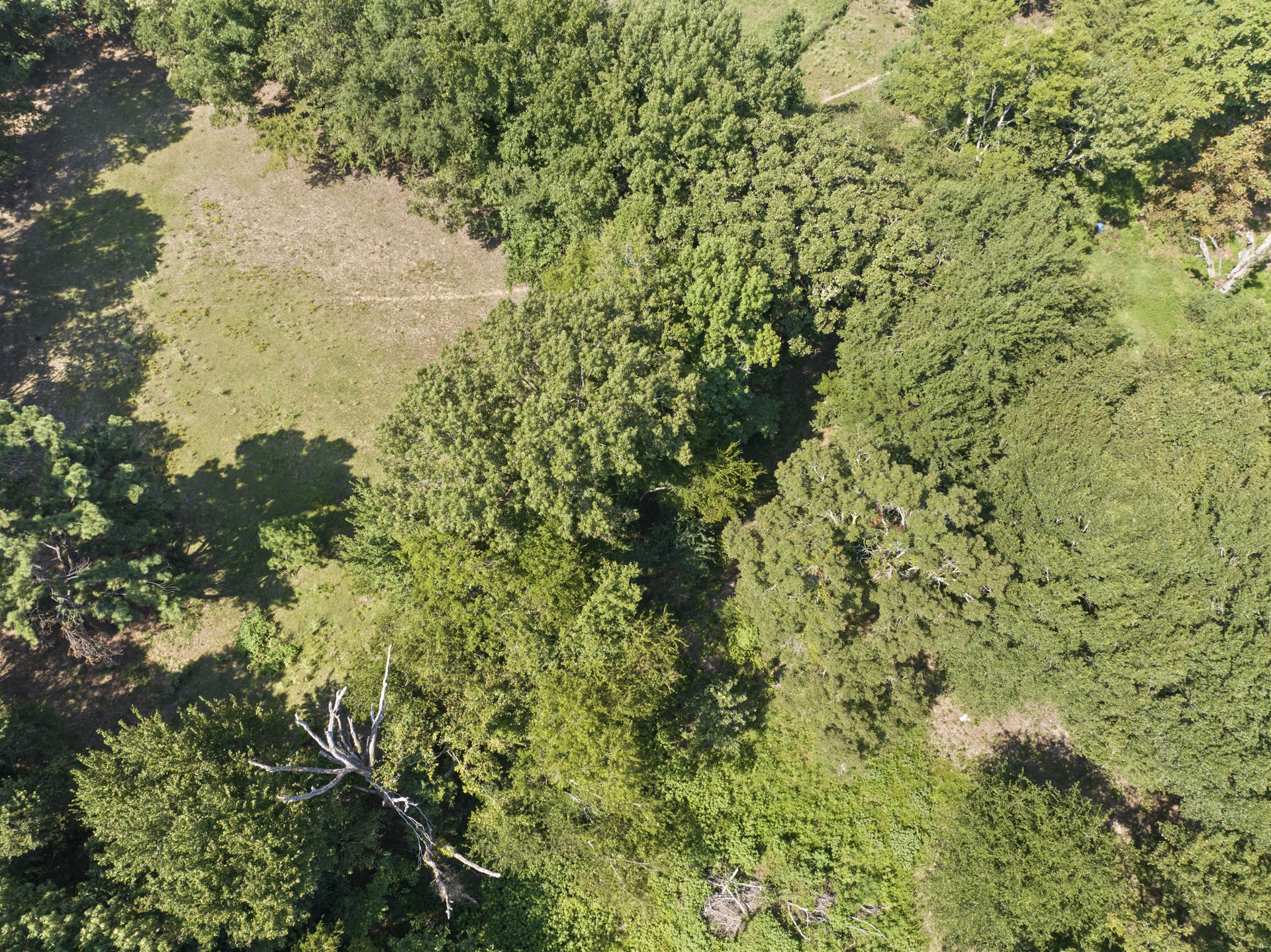 9280 NE County Road 2100