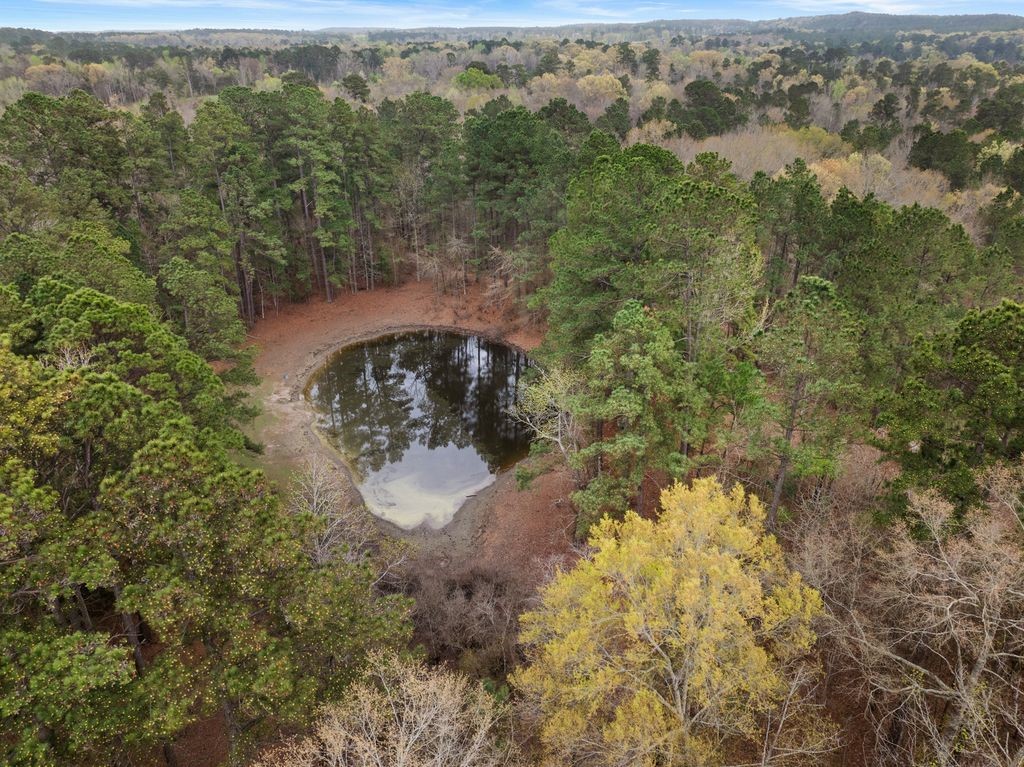 CR1124 Old HWY 11 Road