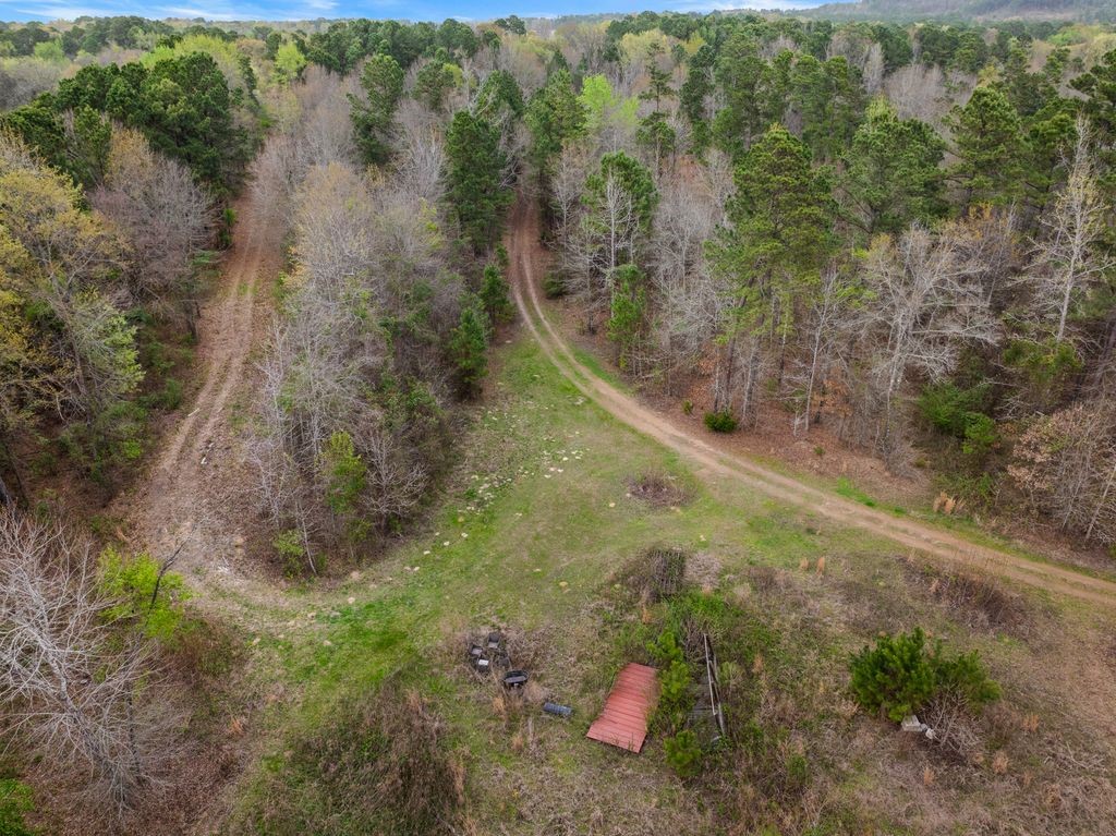 CR1124 Old HWY 11 Road