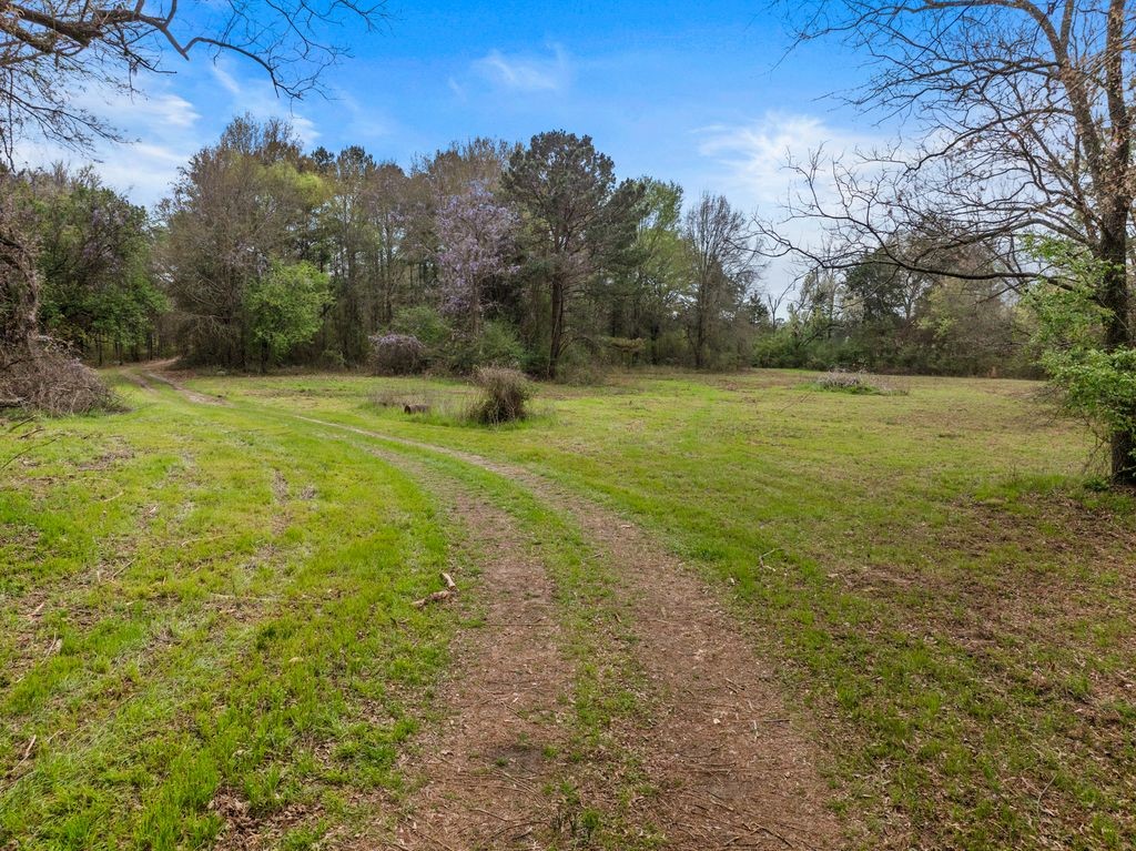 CR1124 Old HWY 11 Road