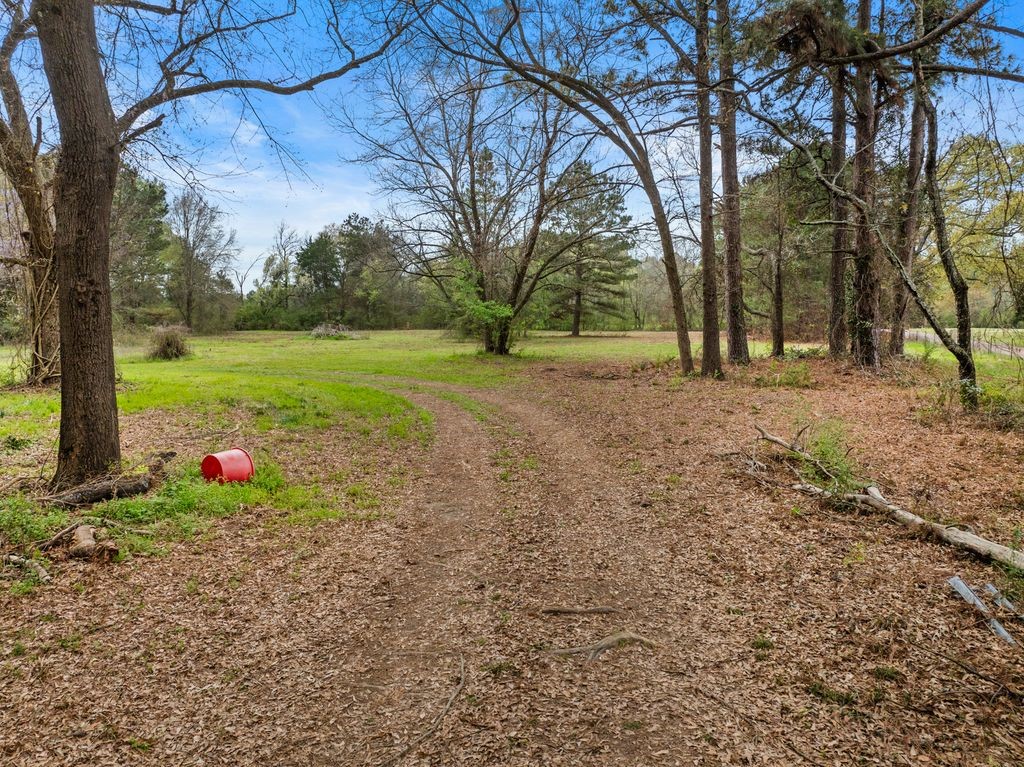 CR1124 Old HWY 11 Road