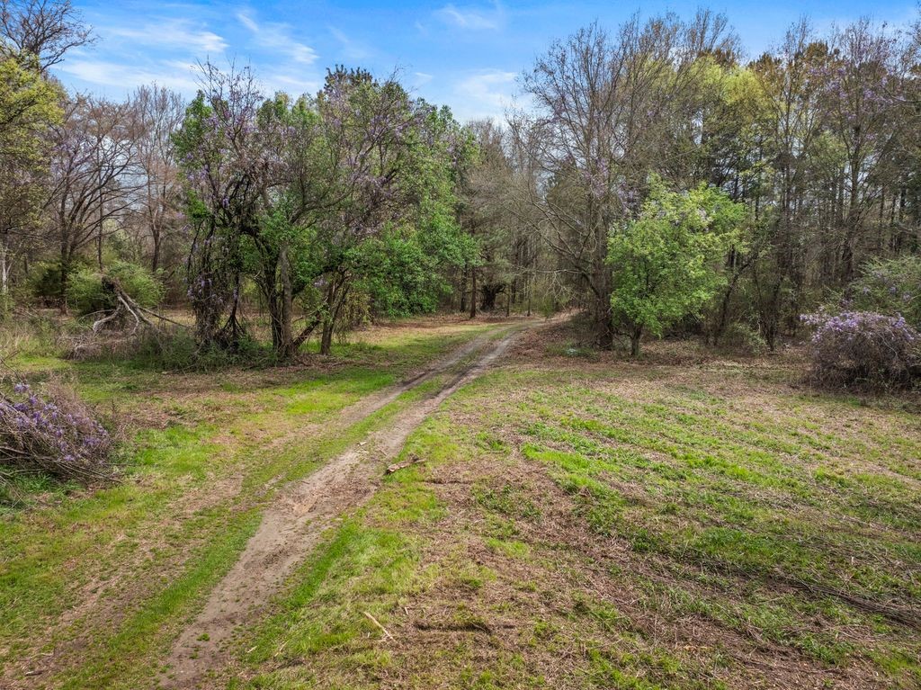 CR1124 Old HWY 11 Road