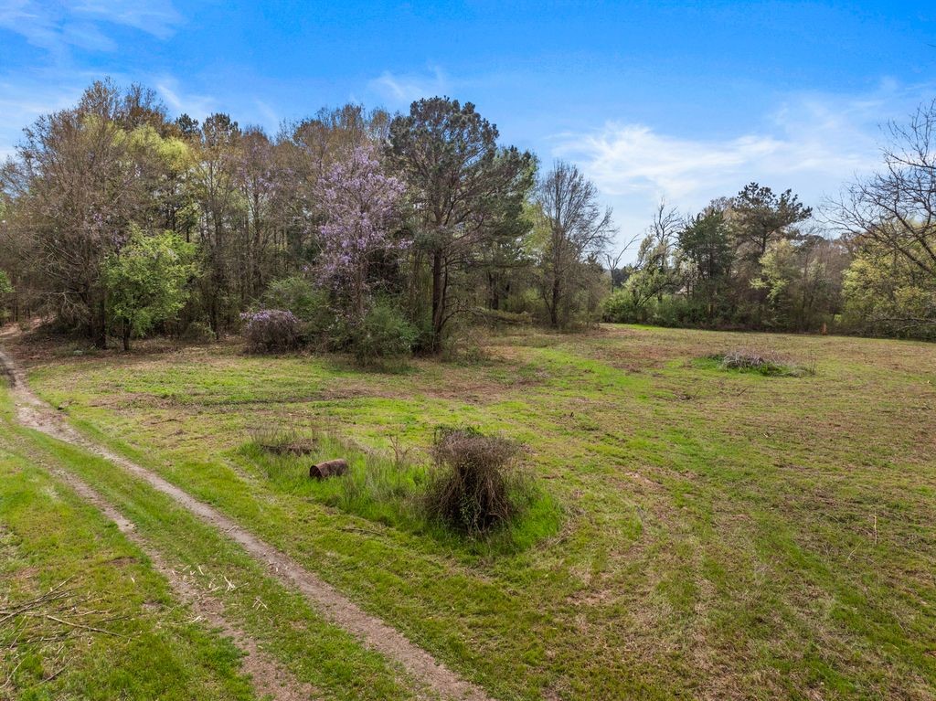 CR1124 Old HWY 11 Road