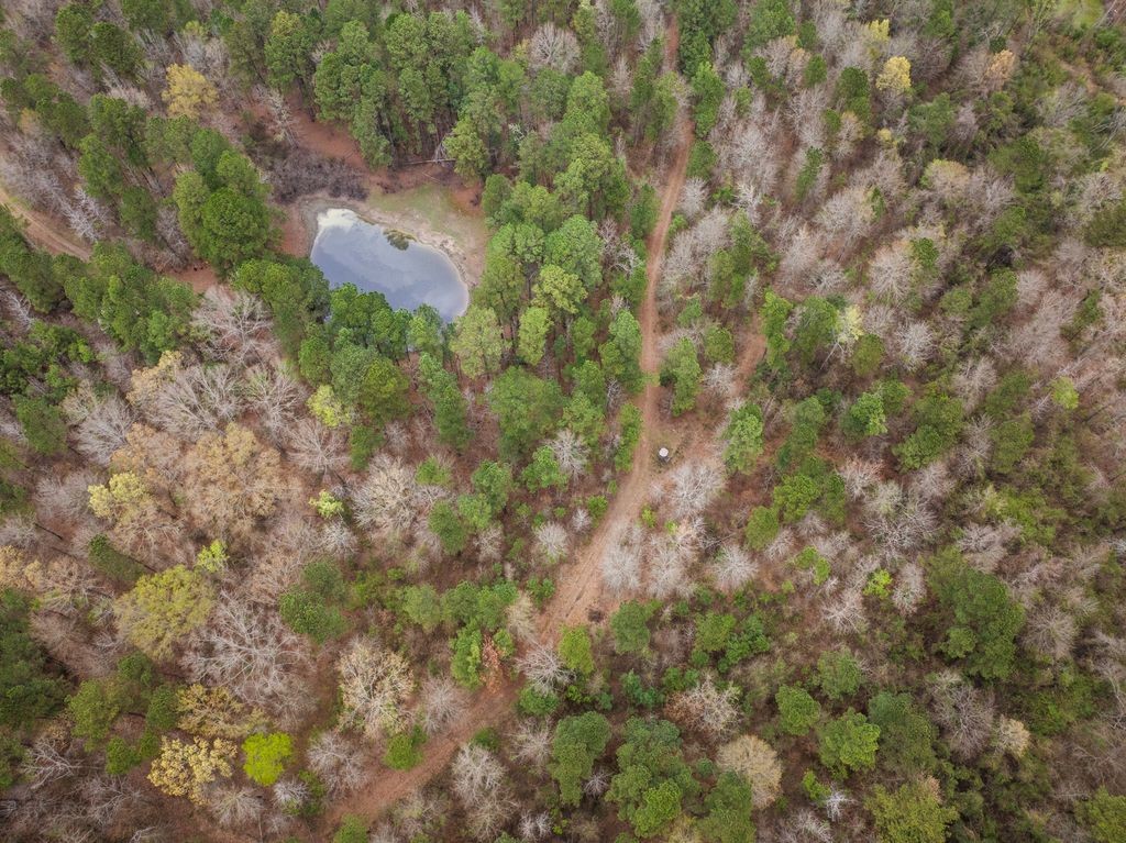 CR1124 Old HWY 11 Road