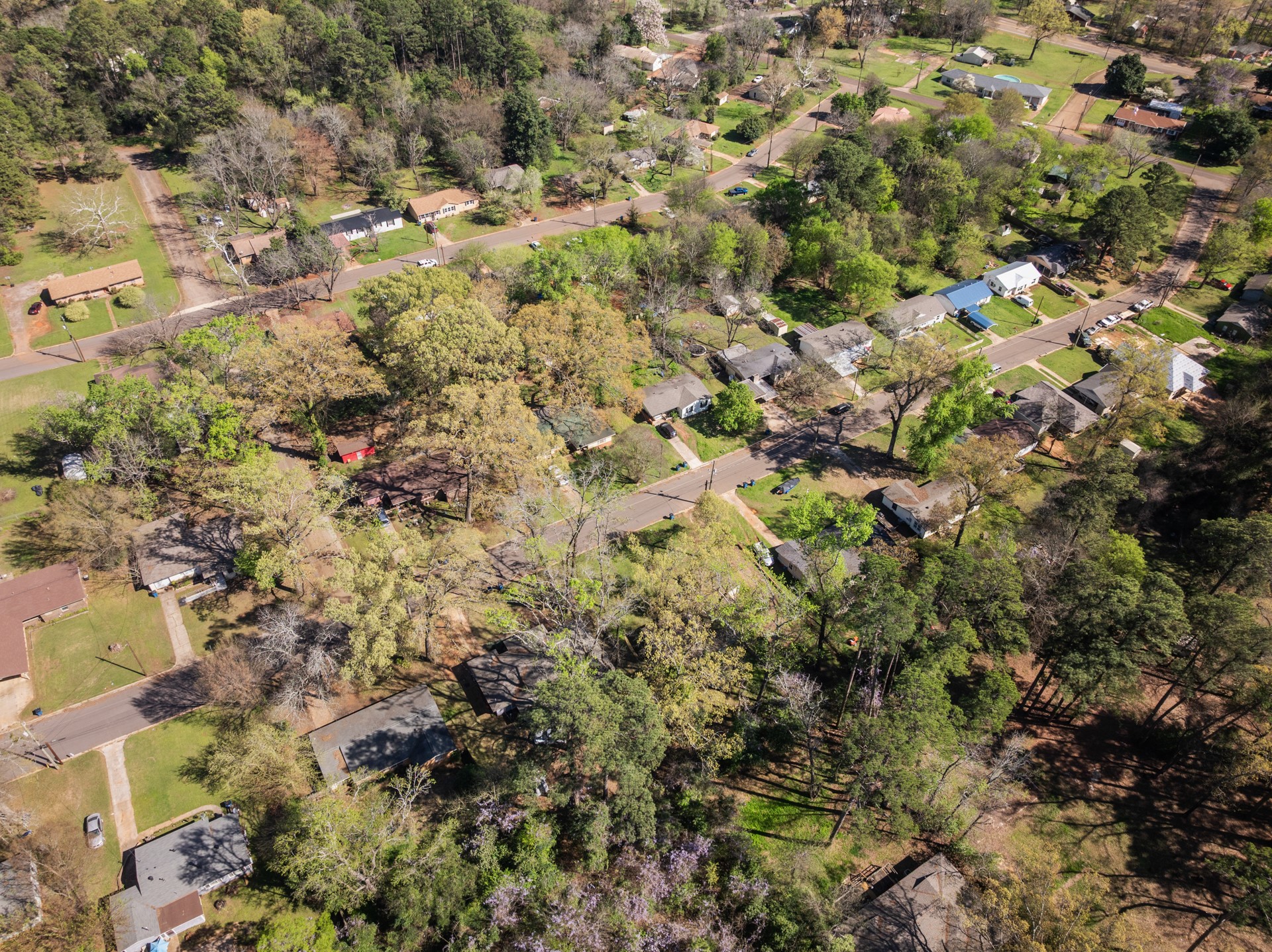 124 Willis Drive
