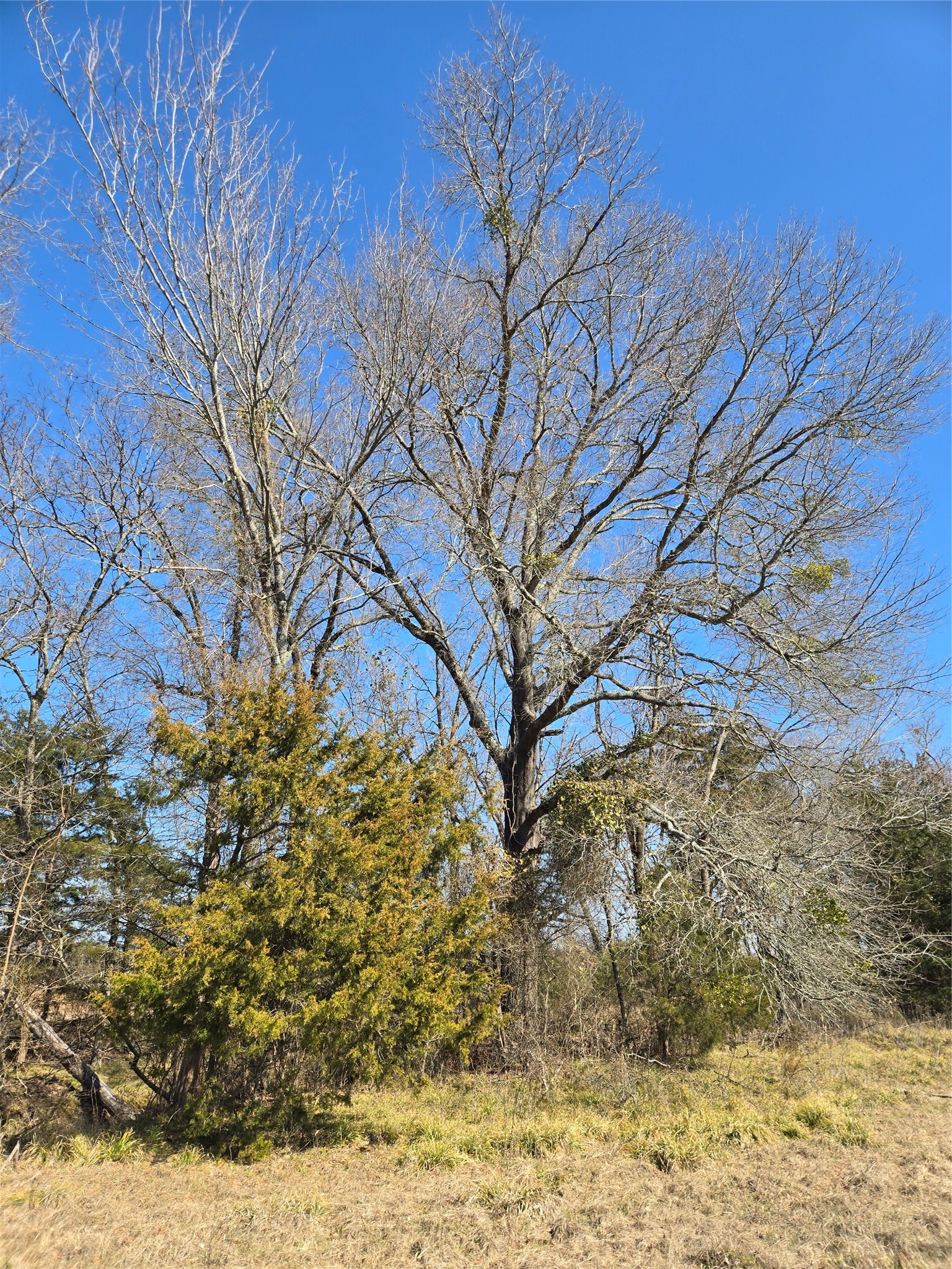 tbd County Road 4612