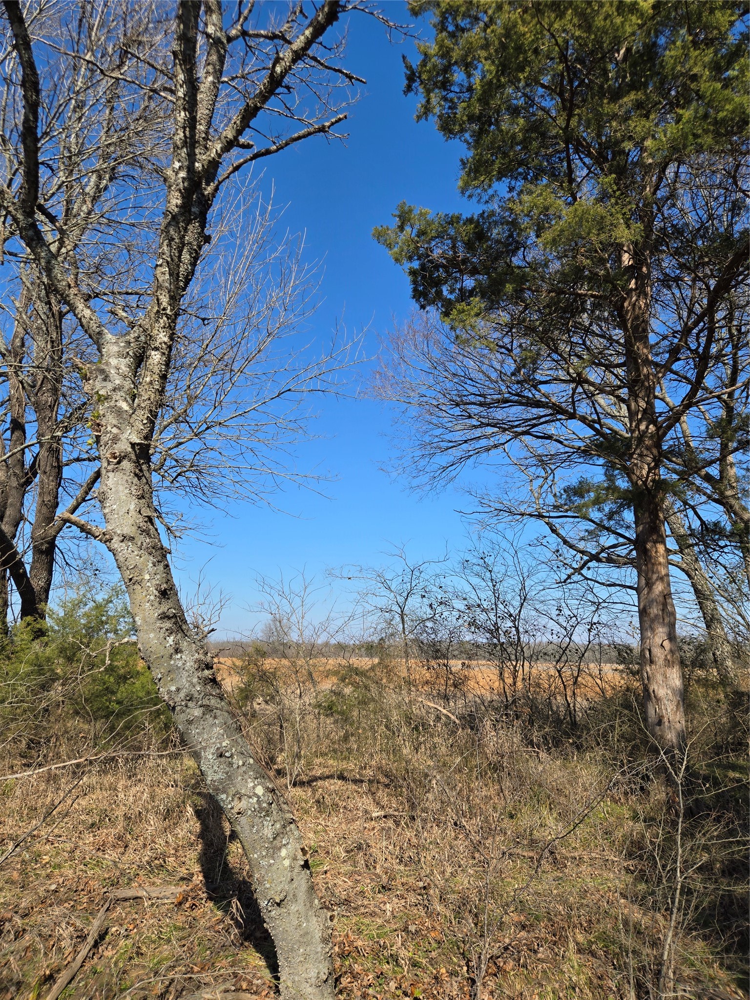 tbd County Road 4612