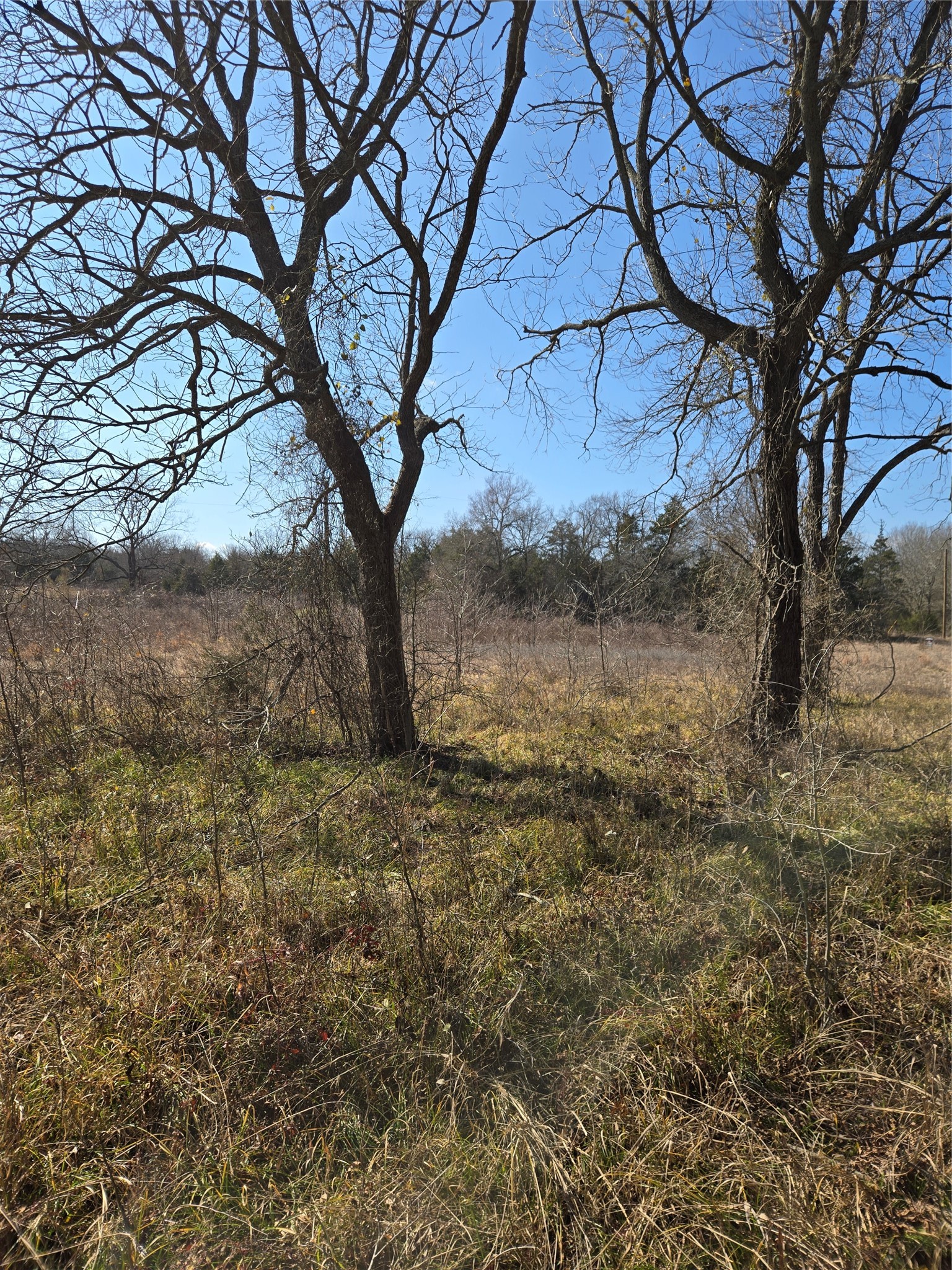 tbd County Road 4612