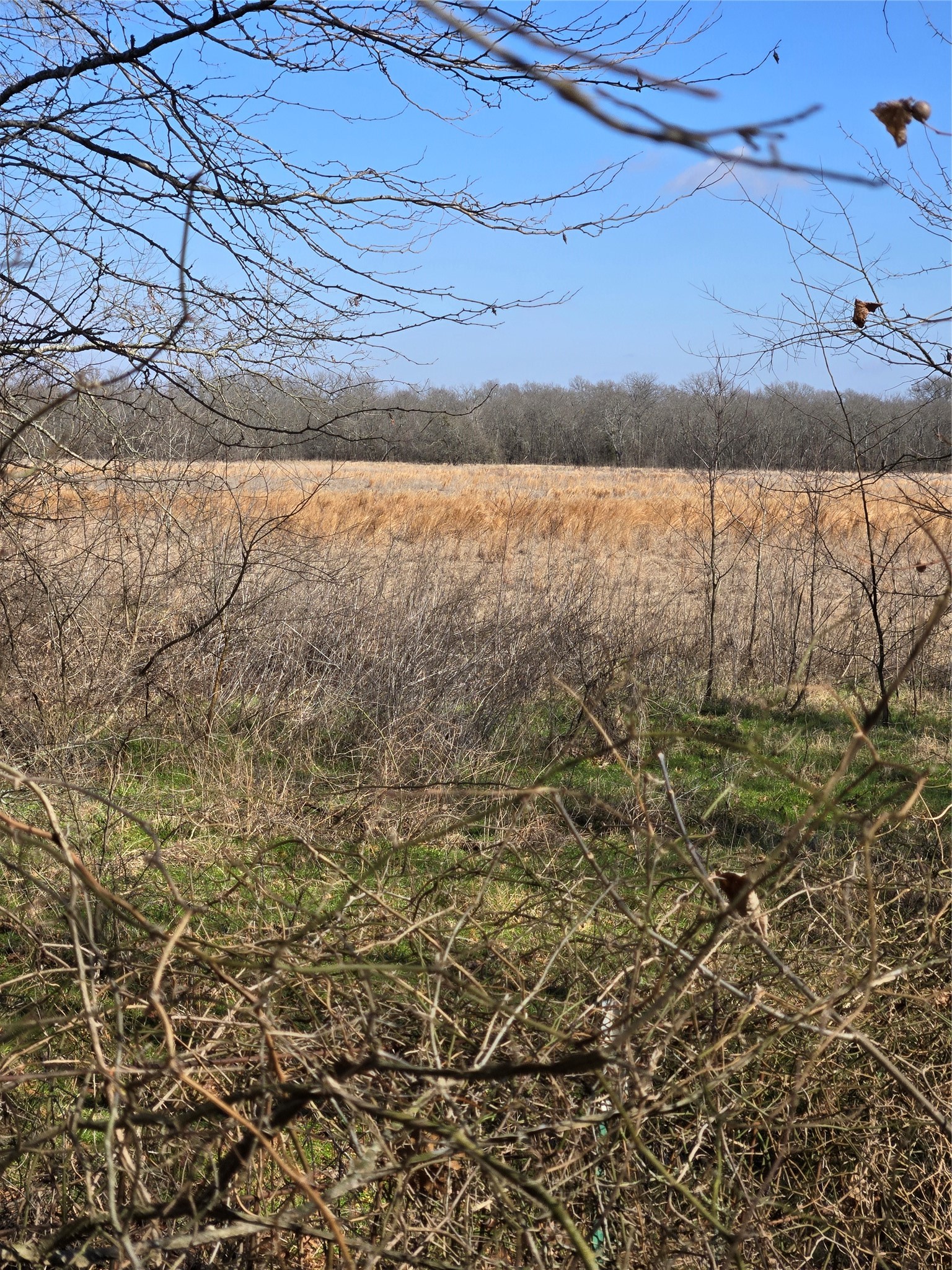 tbd County Road 4612