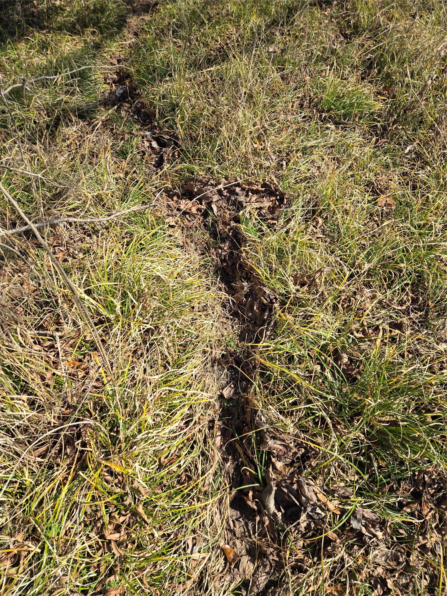 tbd County Road 4612