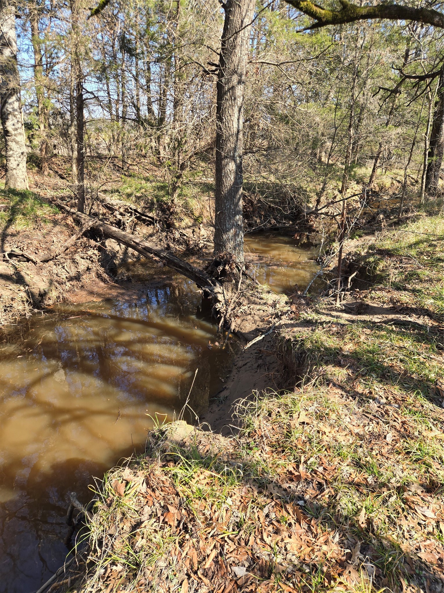 tbd County Road 4612