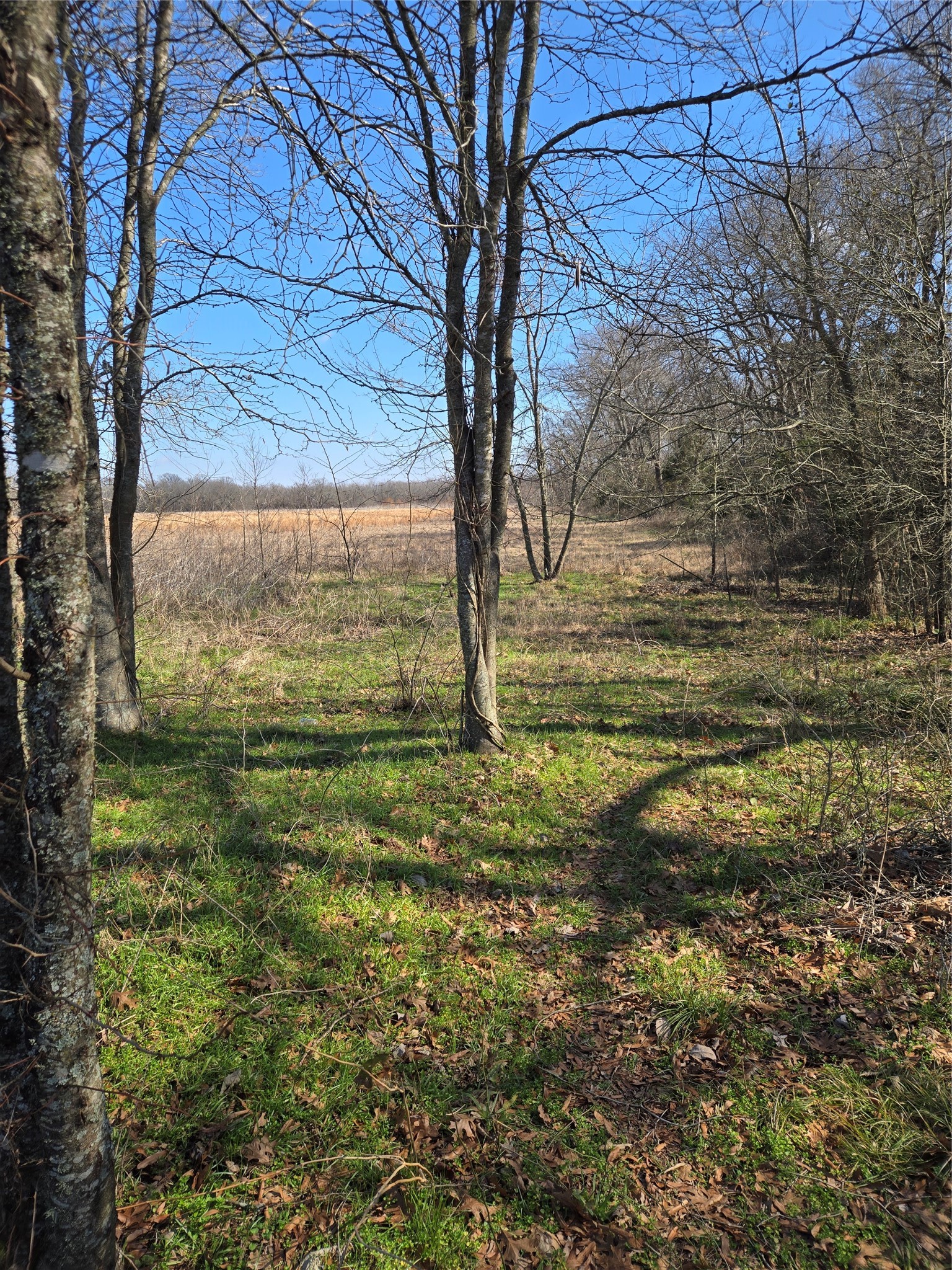 tbd County Road 4612