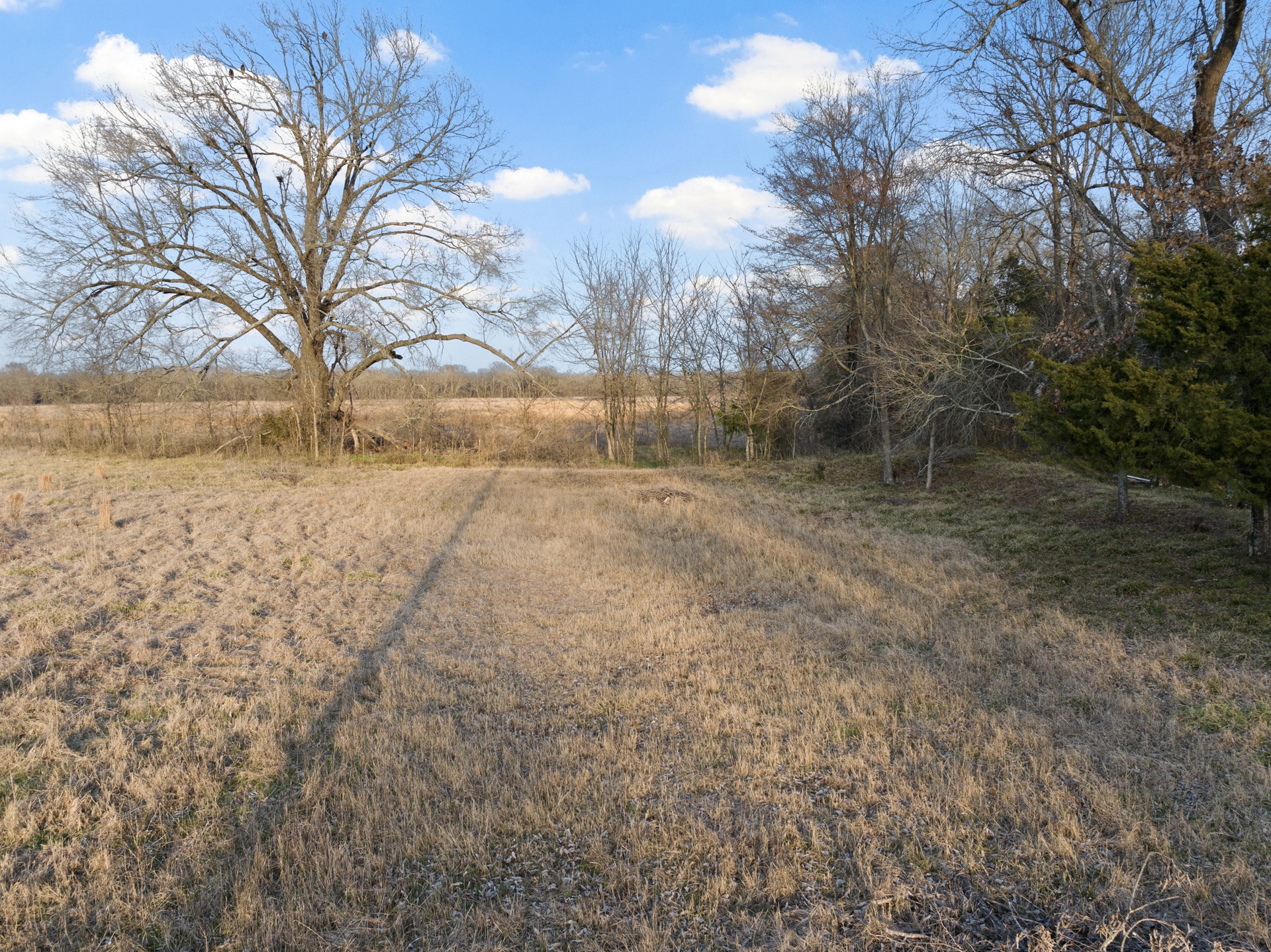 tbd County Road 4612